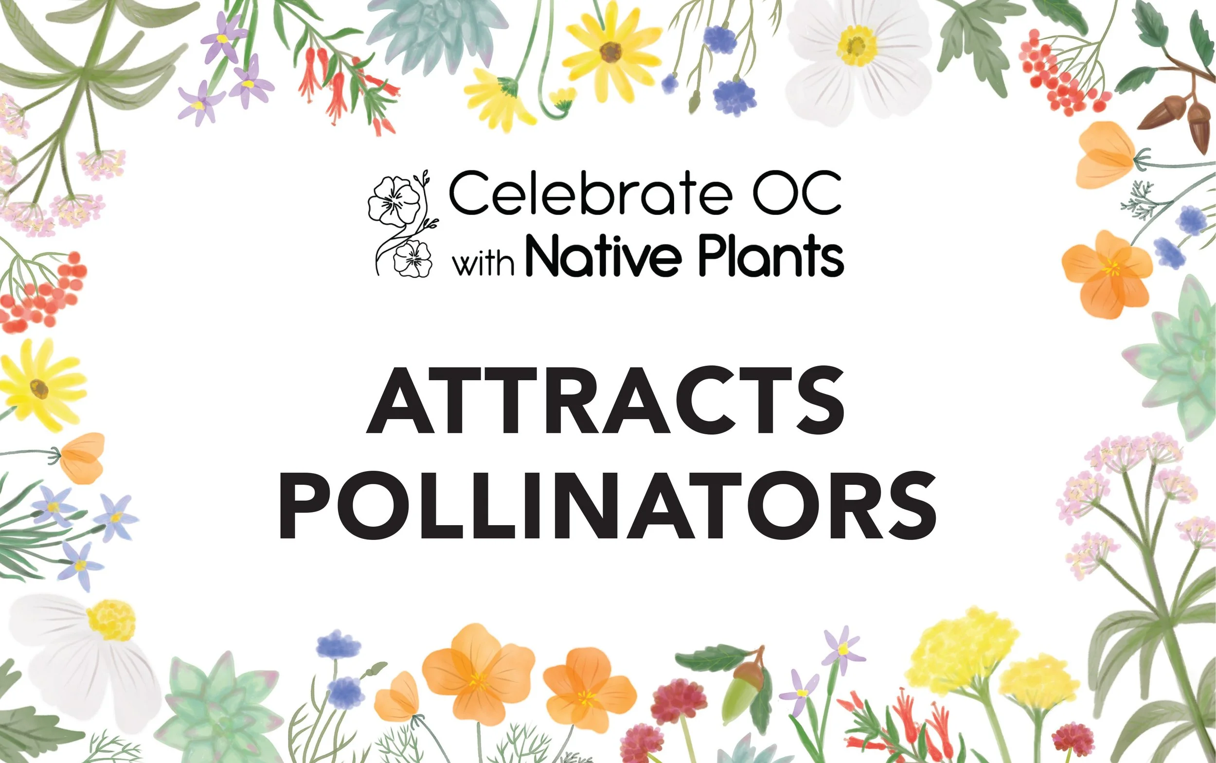 celebrate OC feature signs_01.jpg