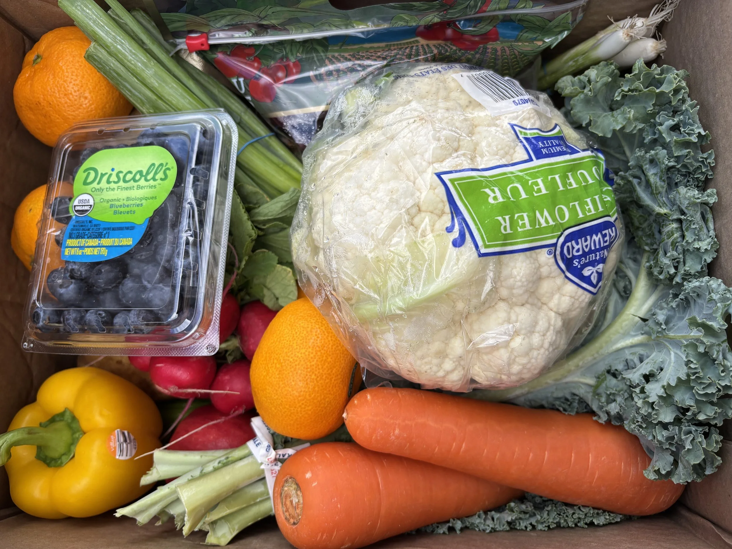 bow valley fresh food box.jpg