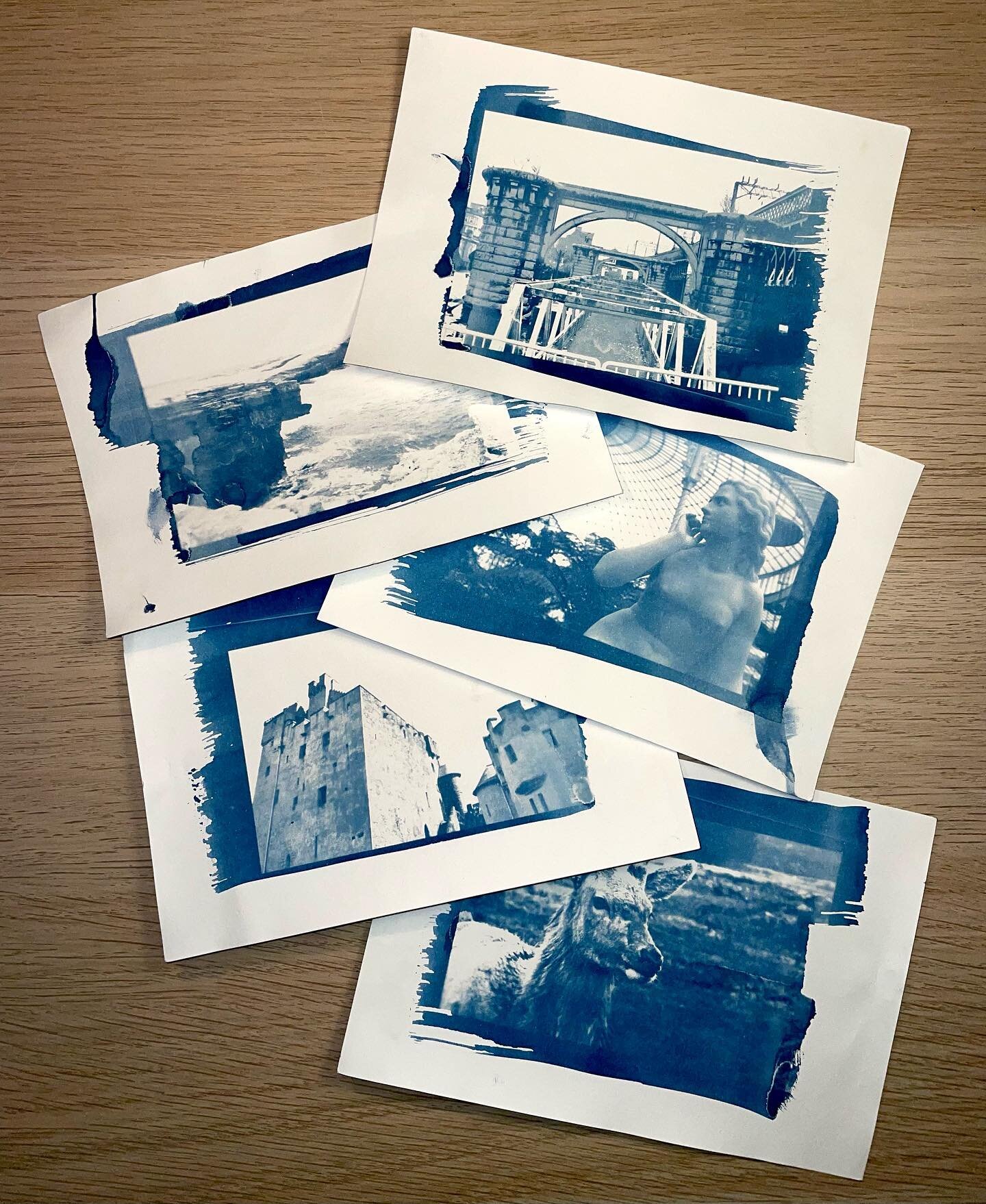 I am so excited to share the introduction of my cyanotype postcards. 

Cyanotyping is an alternative process I learned in school, and I have been experimenting with it and practicing for quite some time.  These are one-of-a-kind prints of photos from