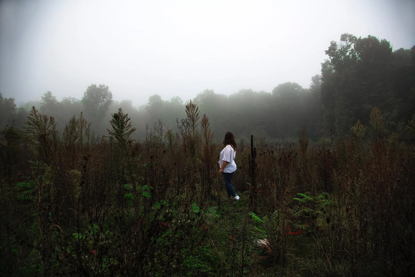 &ldquo;Adopt the pace of nature. Her secret is patience.&rdquo; - Ralph Waldo Emerson.
. . . . .
#photography #photo #nature #naturephotography #portrait #selfportrait #portraitphotography #meadow #fairytale #wallacephotography