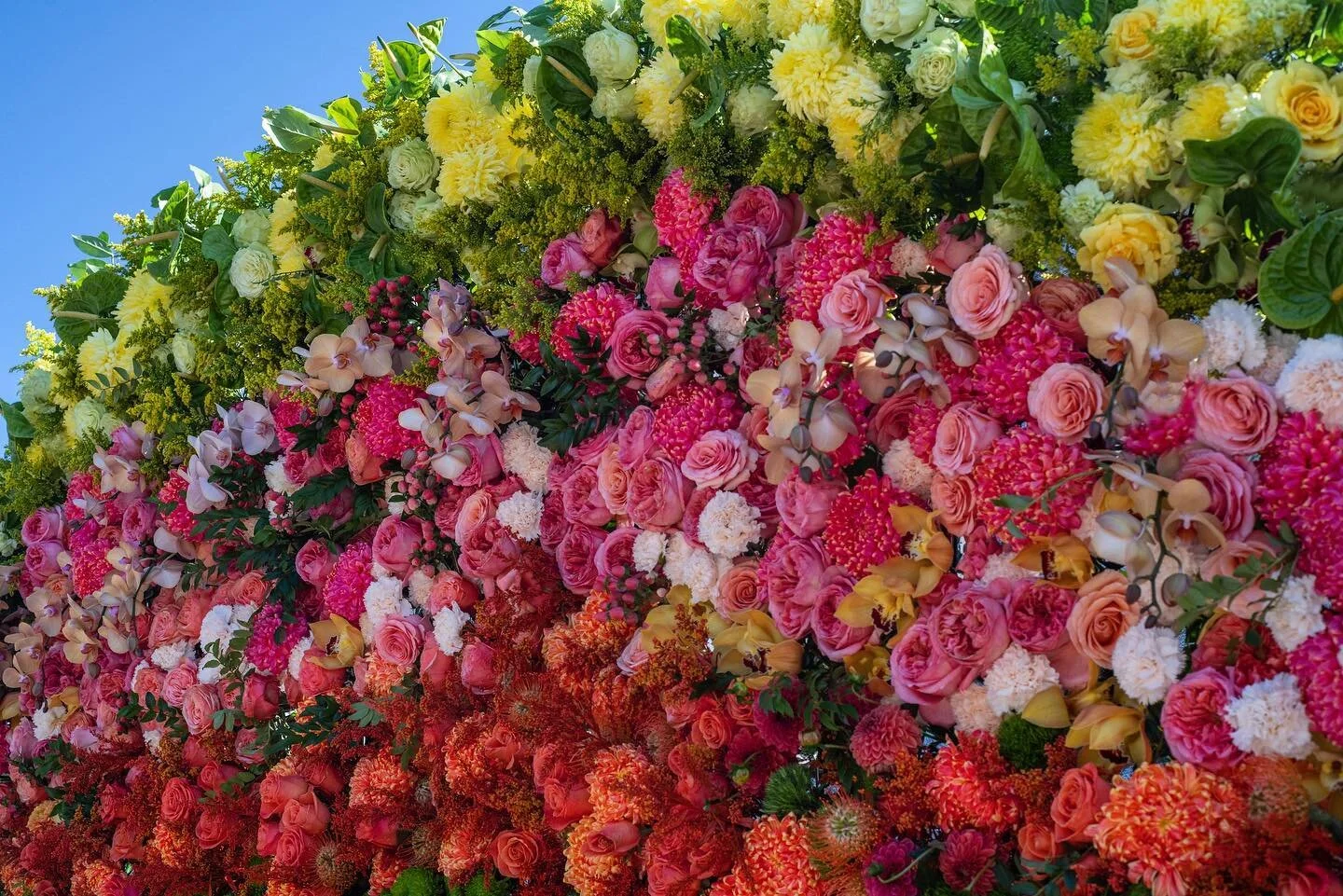 Fleurs de Villes, Niagara Falls, ON

Ketel One Botanical Floral Rainbow at the Falls, created by @lenasfloraldesigns 

. . . . .
#fleursdevilles #fleursdevillesniagarafalls #niagarafalls #niagara #lenasfloraldesigns #wallacephotography