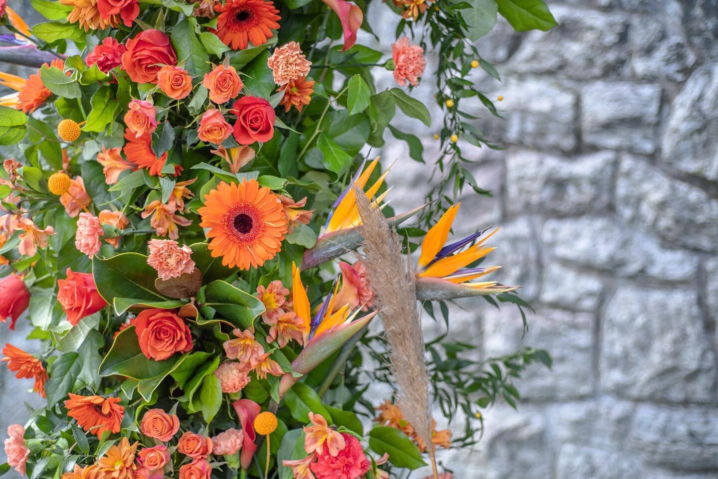Fleurs de Villes, Niagara Falls, ON

Orange Floral Hoop in Remembrance of the Residential School Children, created by @petalsfloral 

. . . . .
#fleursdevilles #fleursdevillesniagarafalls #niagarafalls #niagara #petalsdesign #wallacephotography