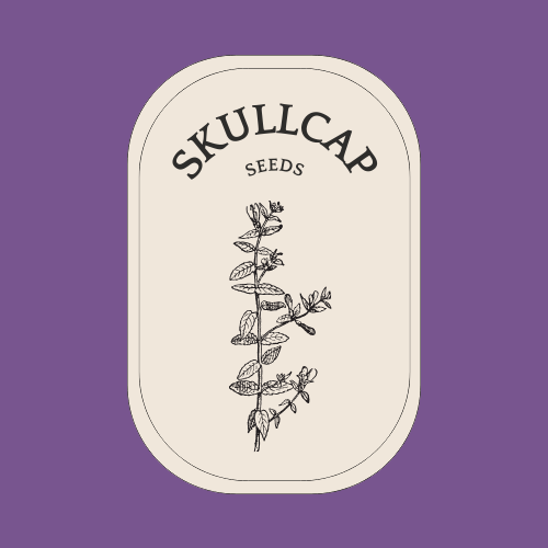 Skullcap seeds.png