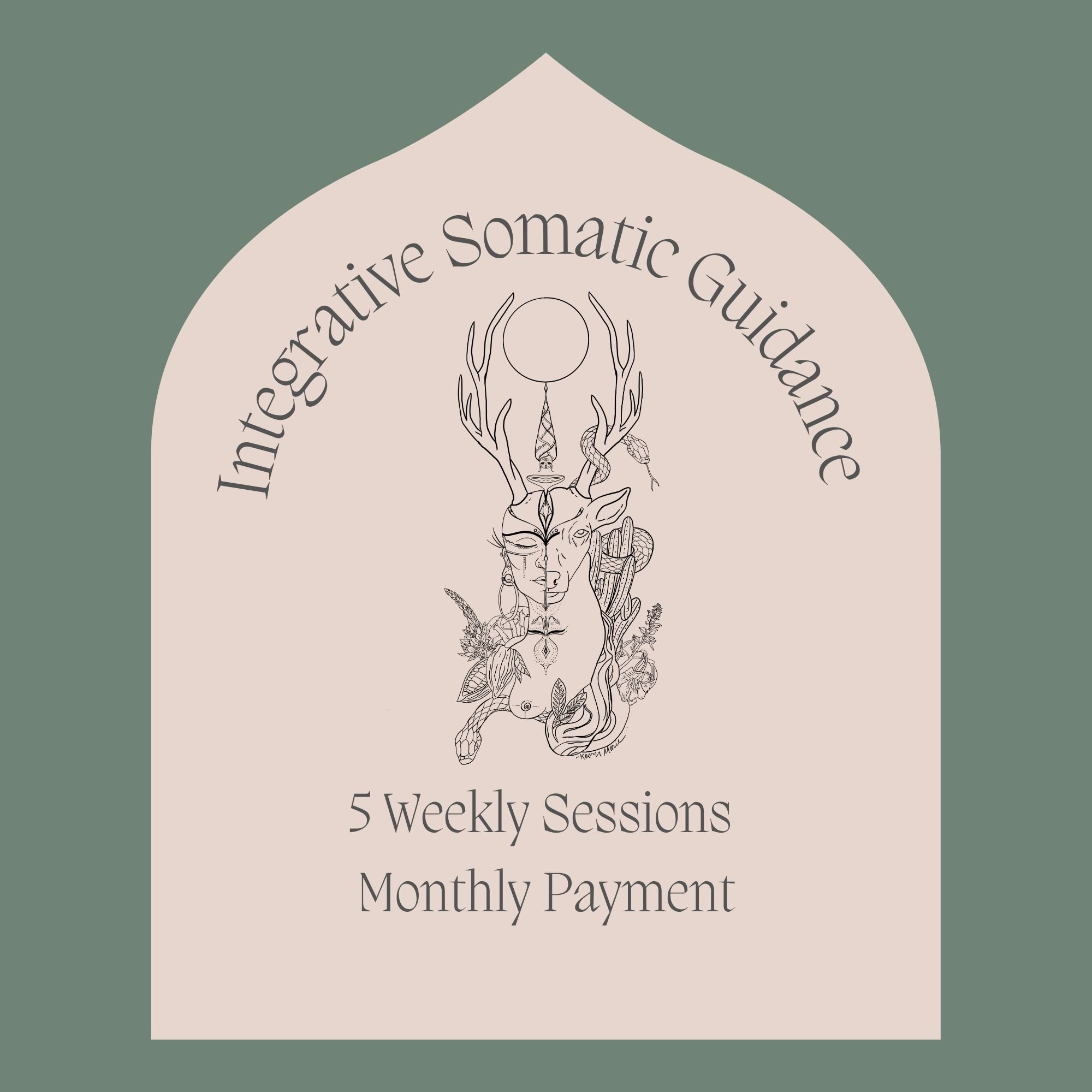 5 weekly Sessions - Monthly Payment - Integrative Somatic Guidance -