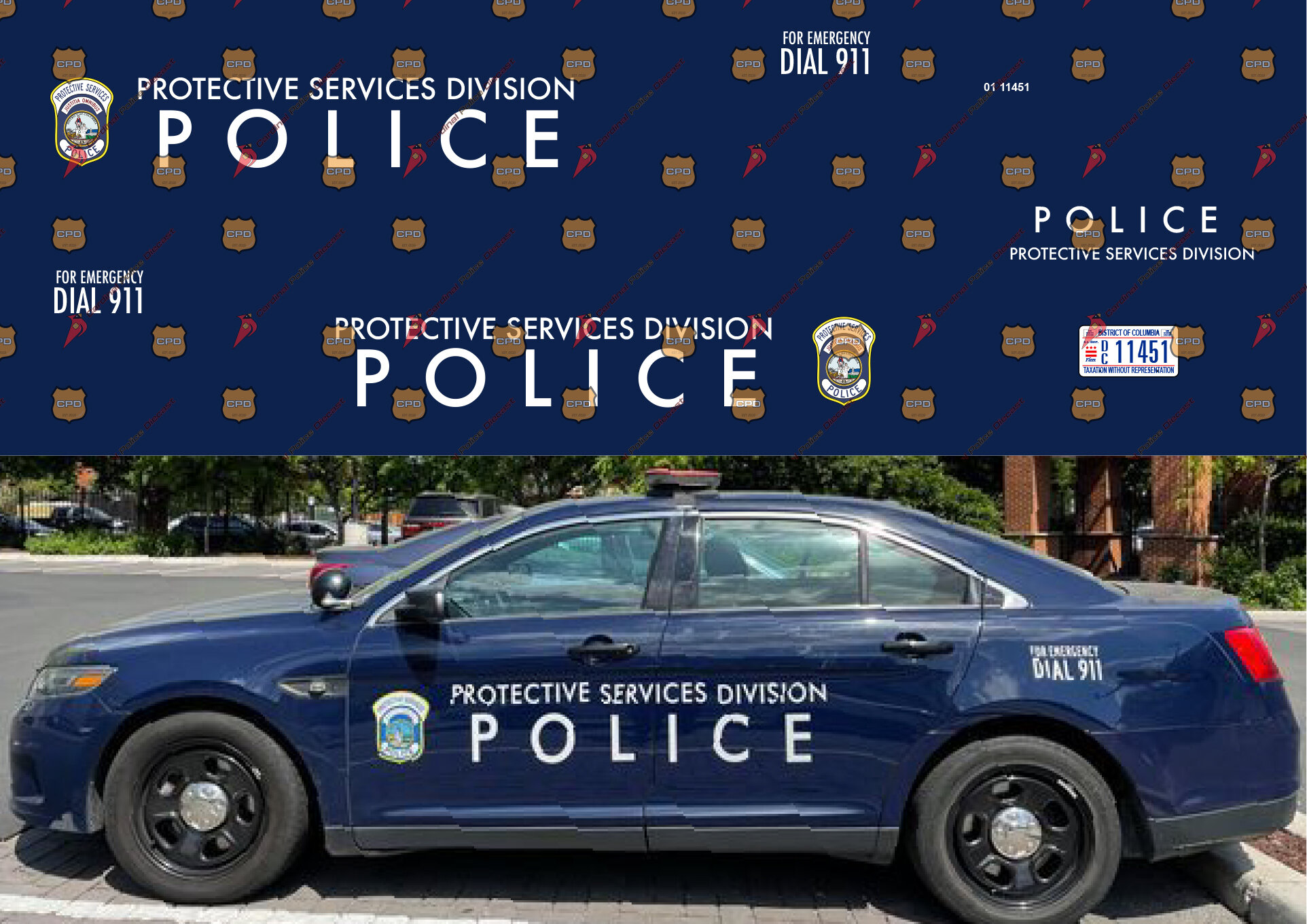 Washington DC Protective Services Sample.jpg