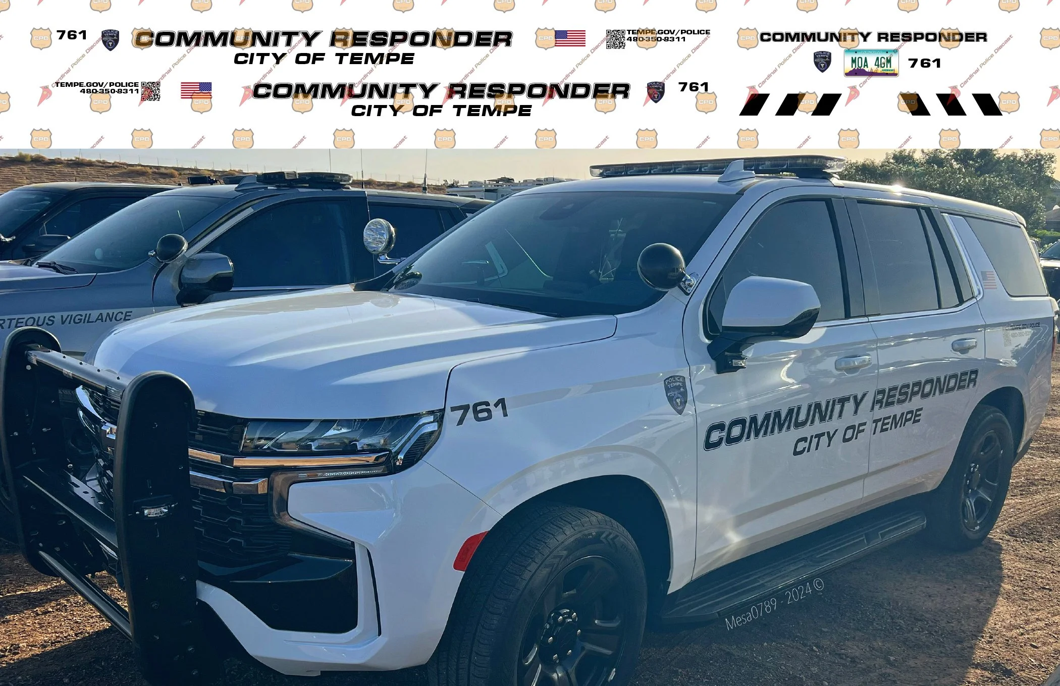 Tempe, AZ Community Responder Sample.jpg