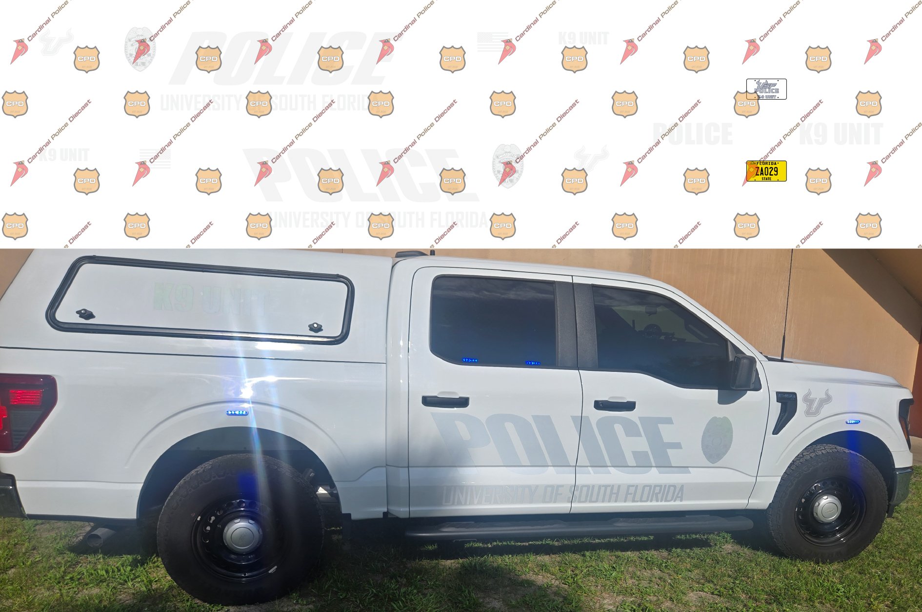 University of South Florida Police Department