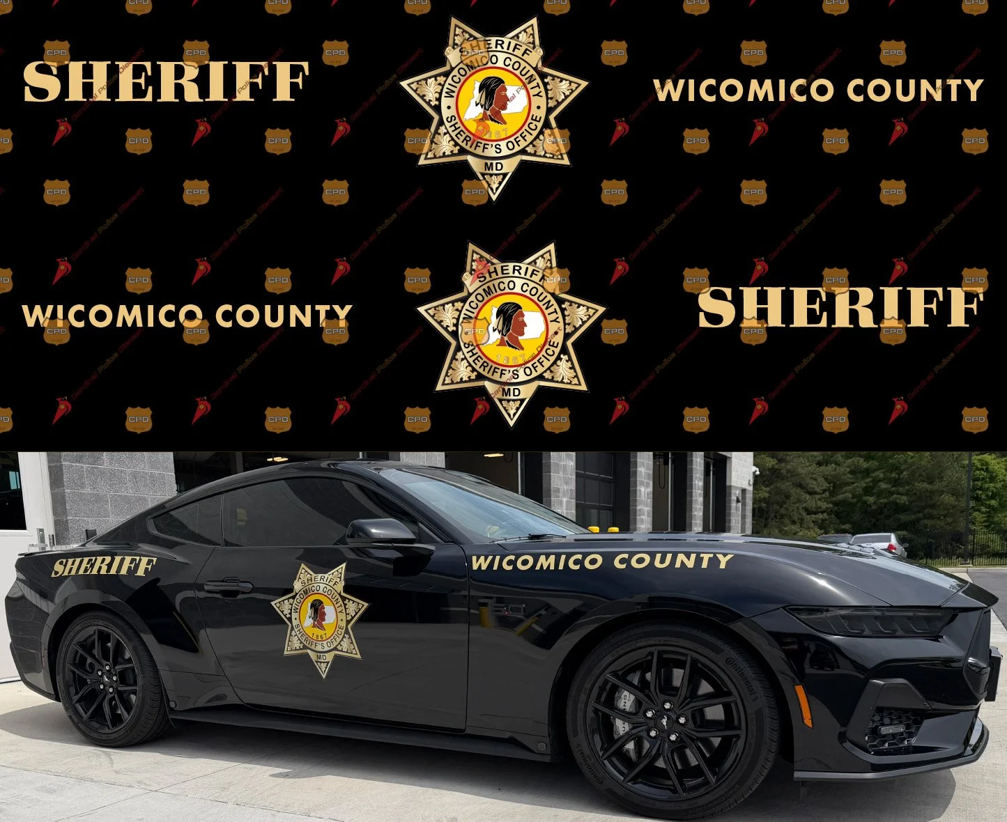 Wicomico CO, MD Mustang Sample.jpg