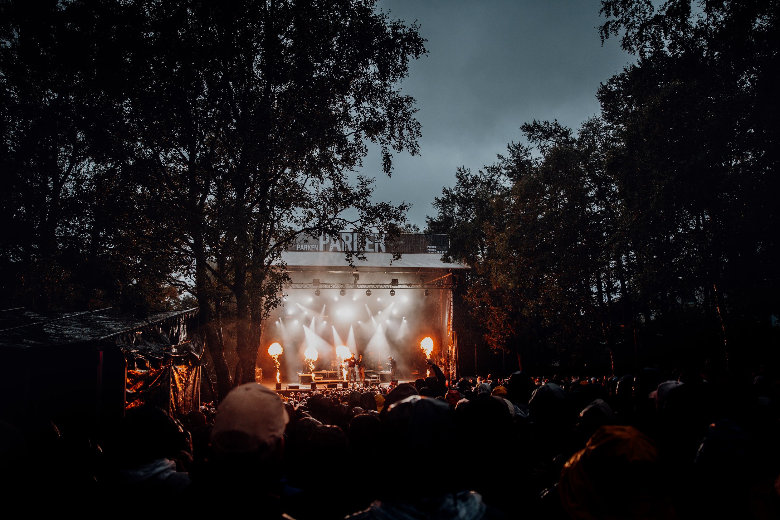 Ari Bajgora(Bjørn Nikolas Rognså_@bjorn.rognsa)-2.jpg