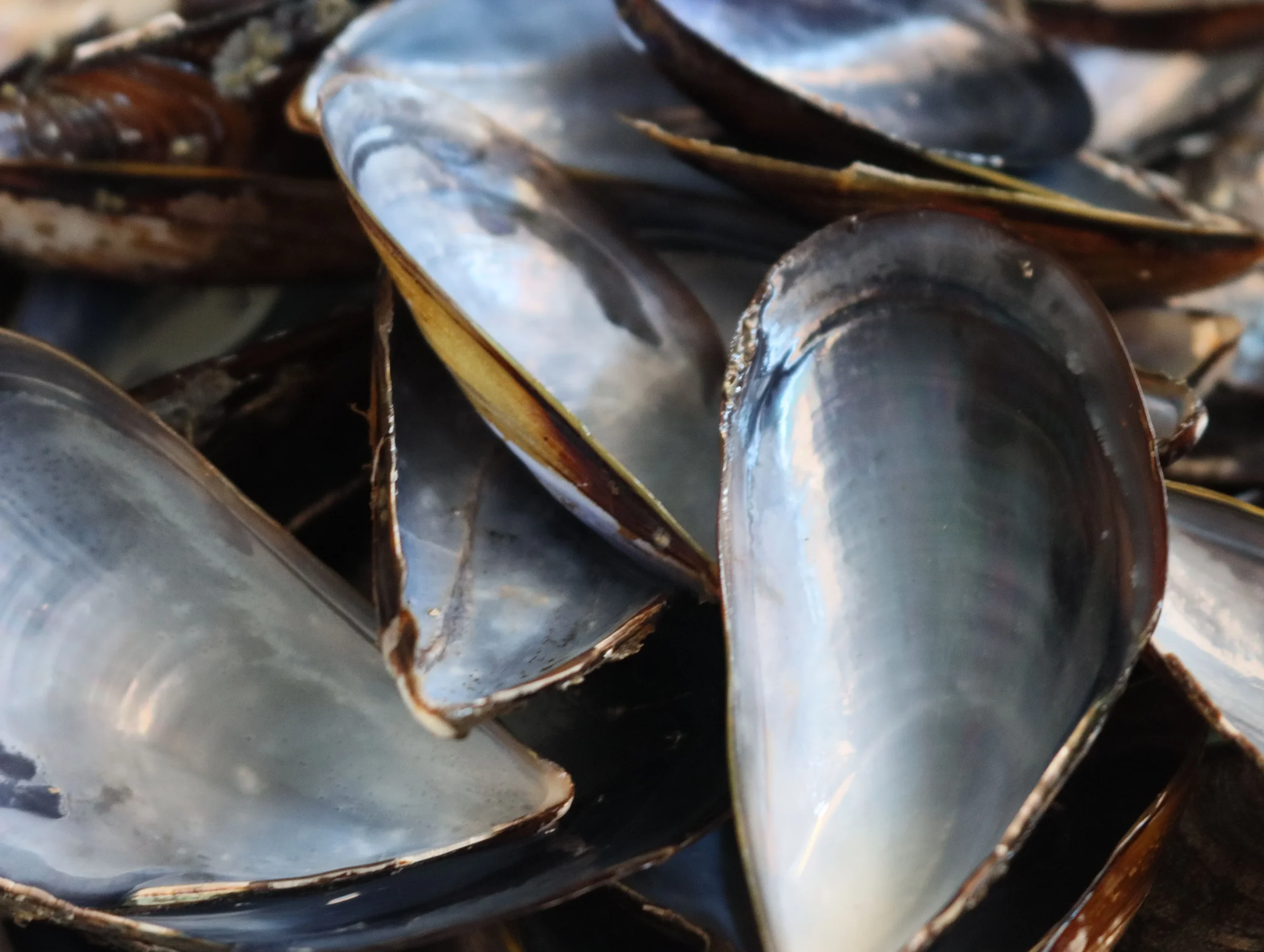 What Does it Mean to "Honor&nbsp;Your Body's Wisdom?"