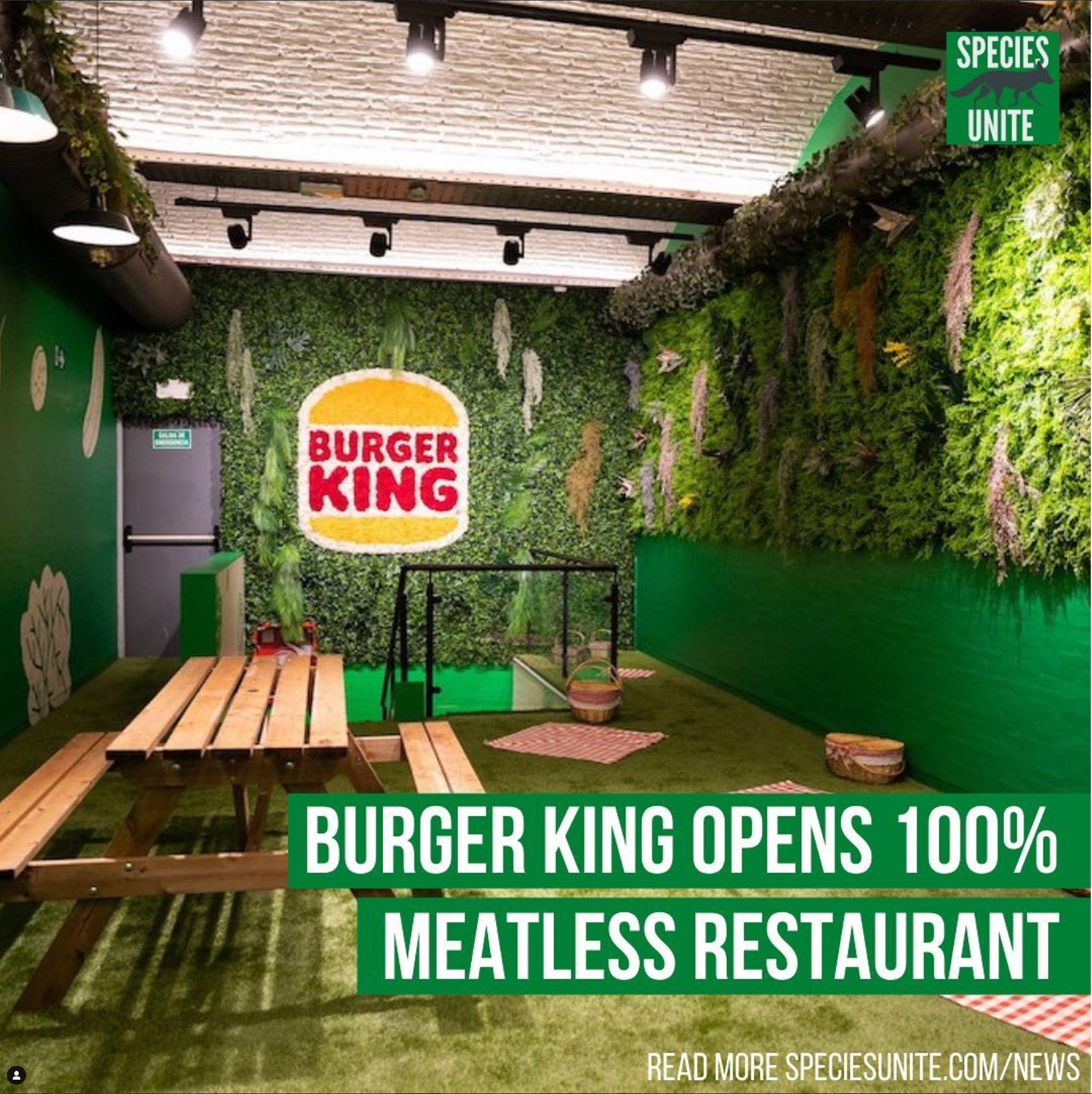 Screen Shot 2021-11-02 at 11.51.19 AM.png