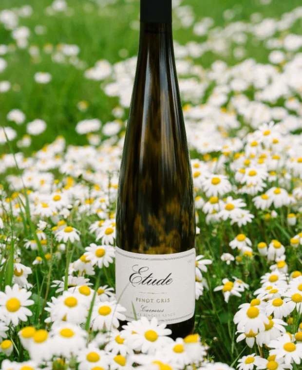 Etude x Le Bon Nosh Summer Wine Dinner 