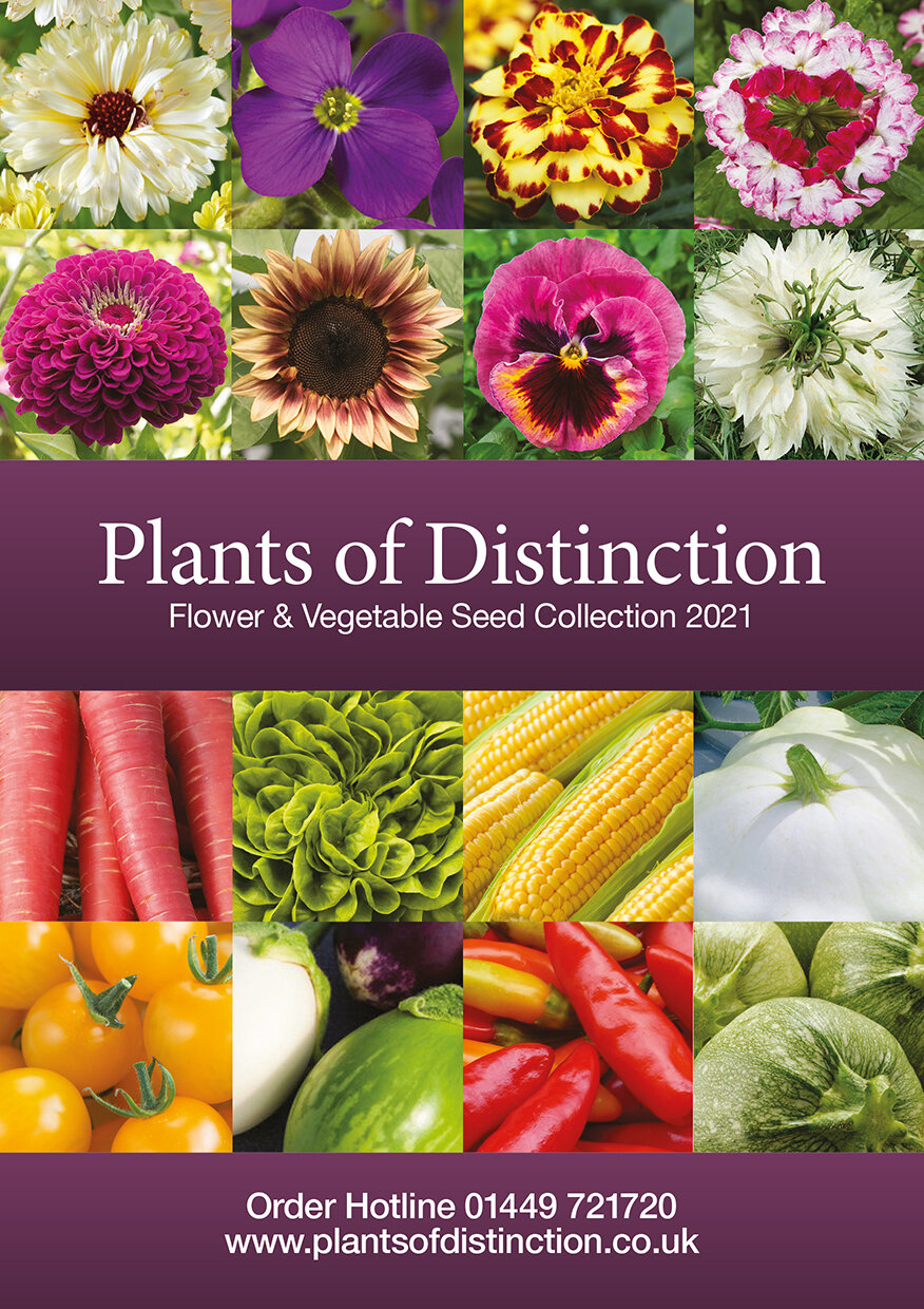 Plants of Distinction Flower & Vegetable Seed — Emma Long Graphic Design