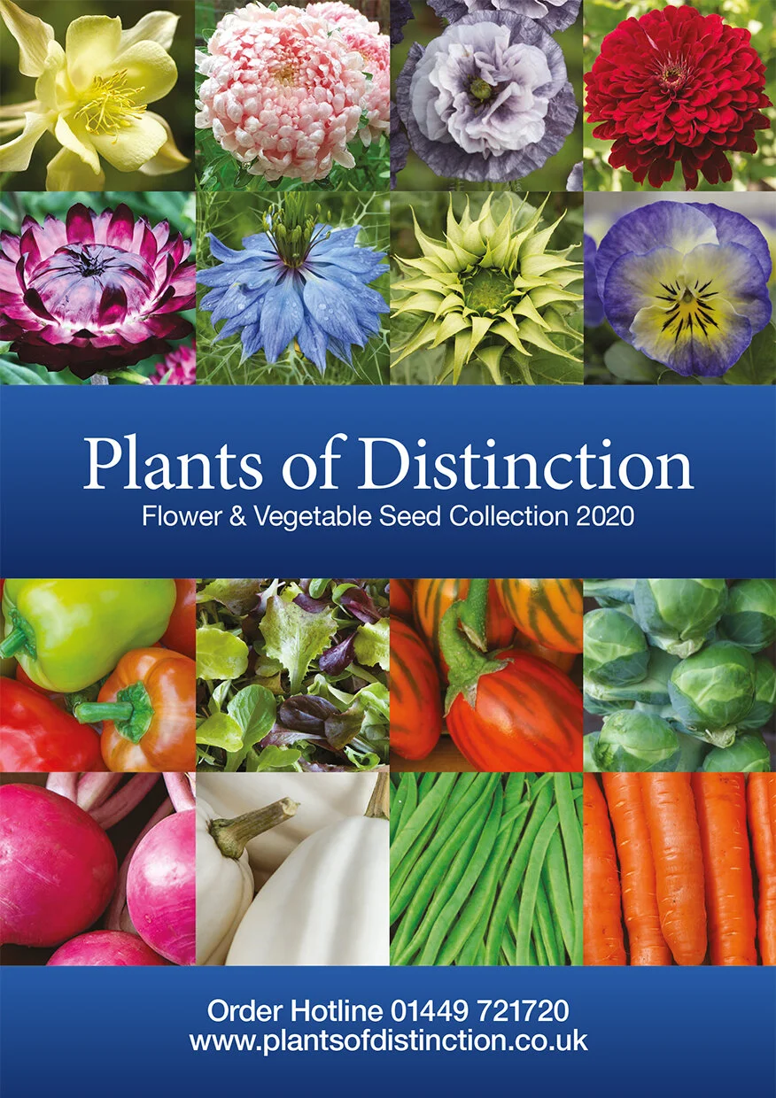 Plants of Distinction Flower & Vegetable Seed — Emma Long Graphic Design