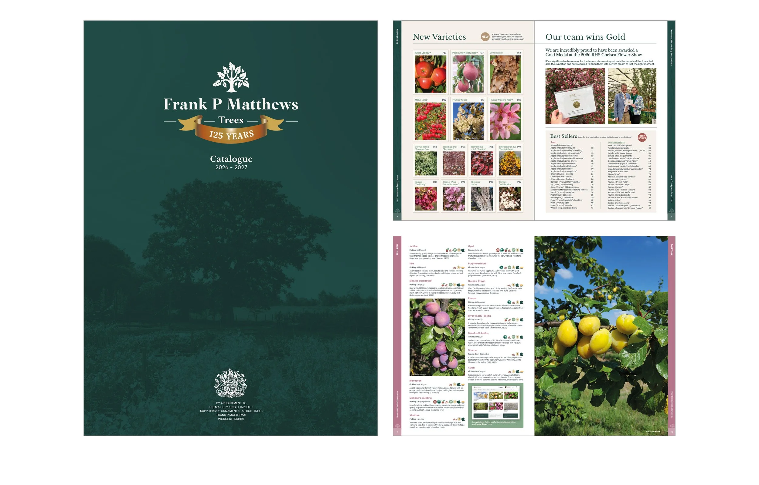 Frank P Matthews Trees Brochure Design