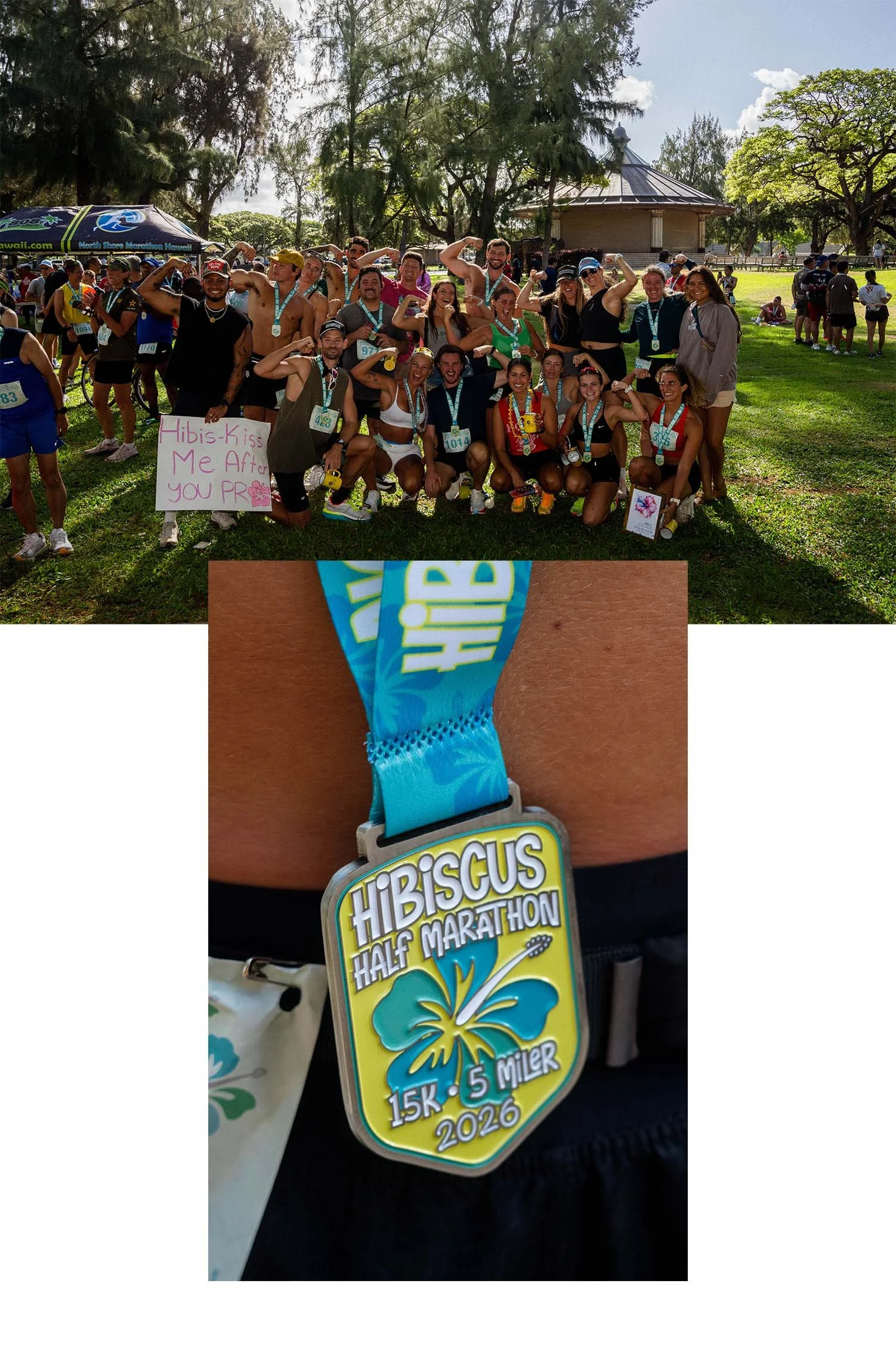 Hibiscus1a.jpg