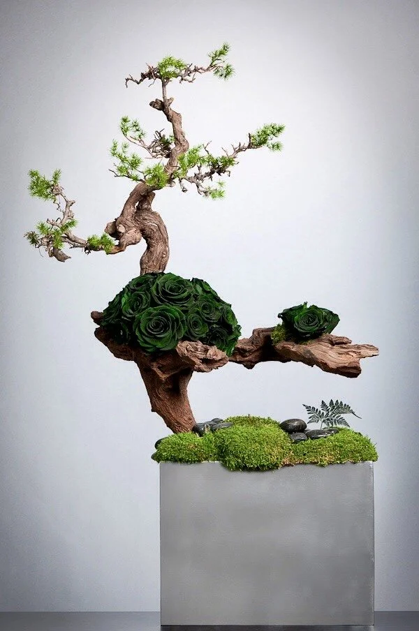 FullSizeRender 2.jpeg