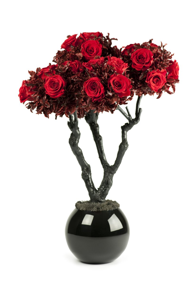 donaldo i phone may 30th 2014 630.jpeg