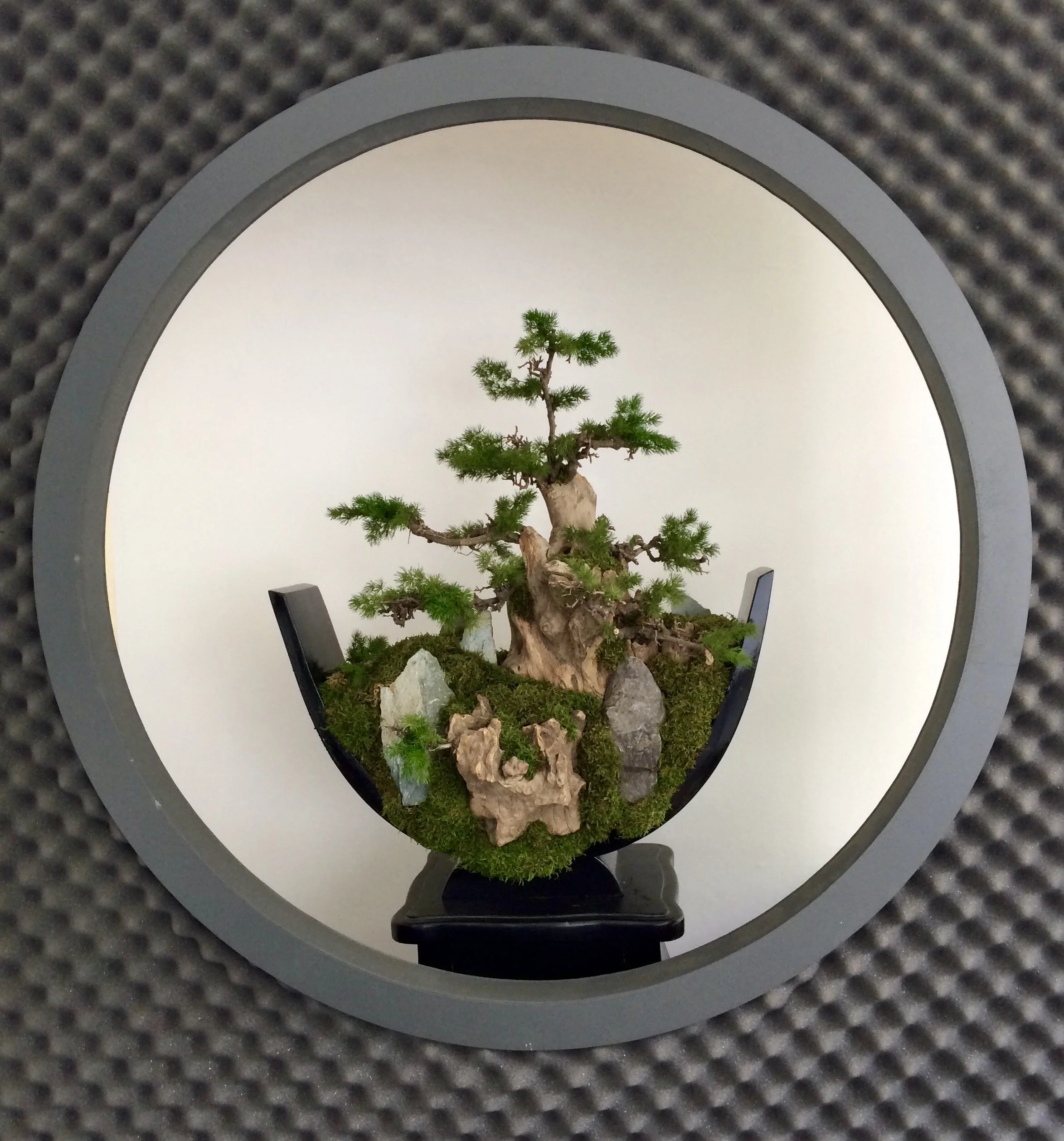 FullSizeRender 4.jpeg