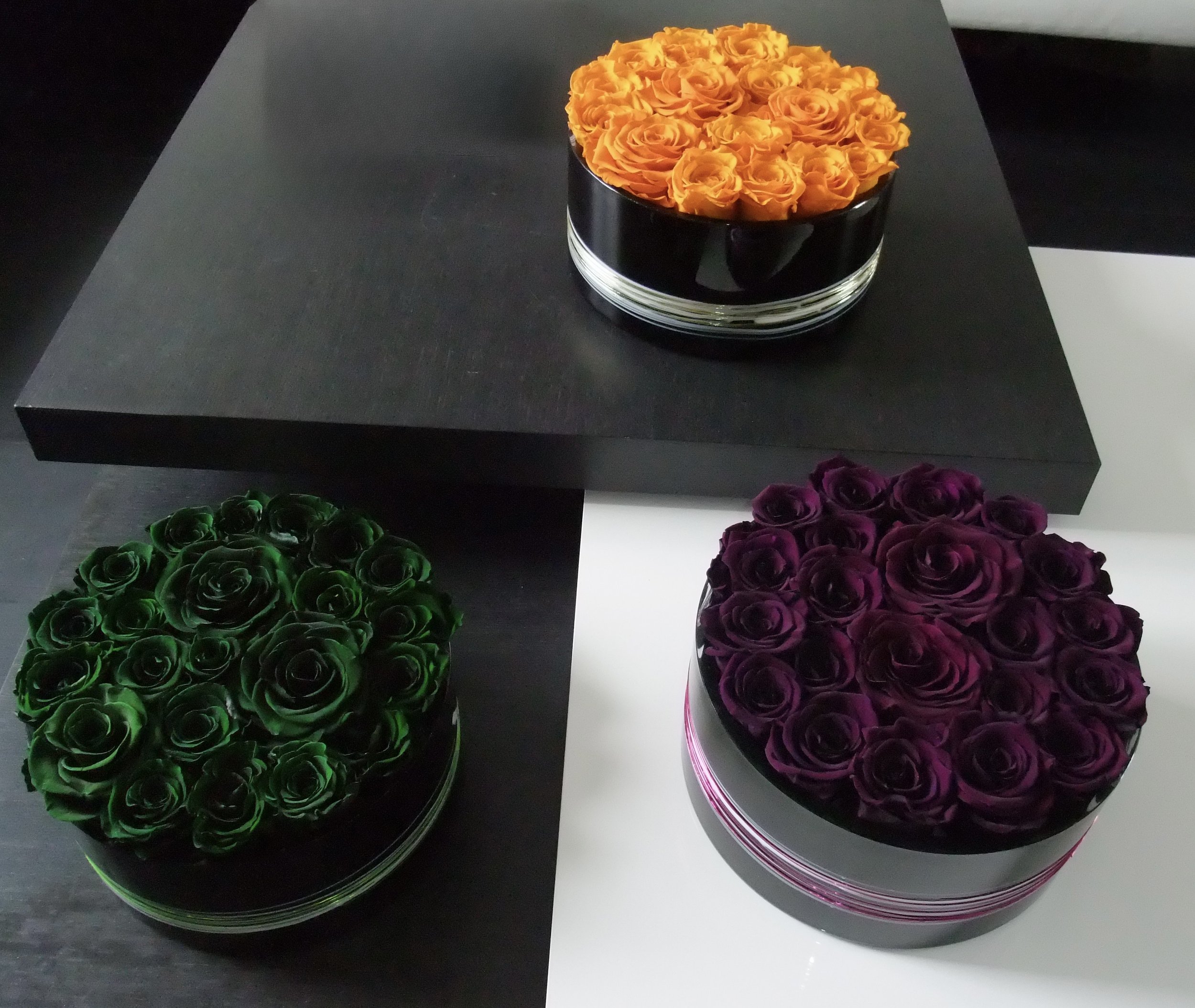 donaldo i phone may 30th 2014 1146.jpeg