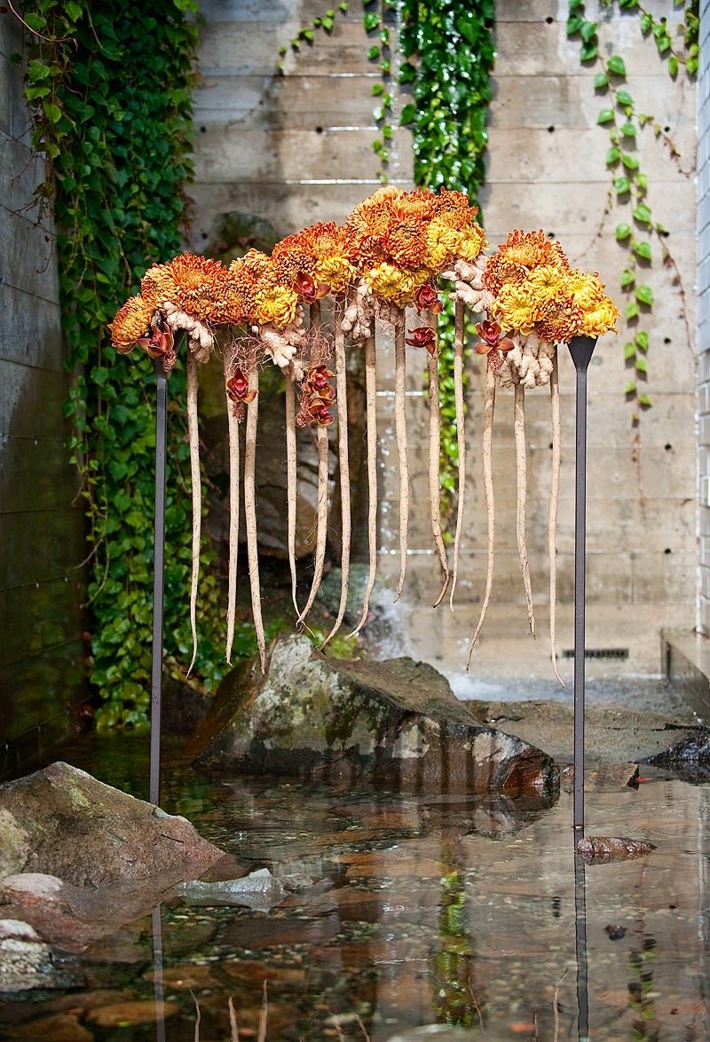 FullSizeRender 4.jpeg