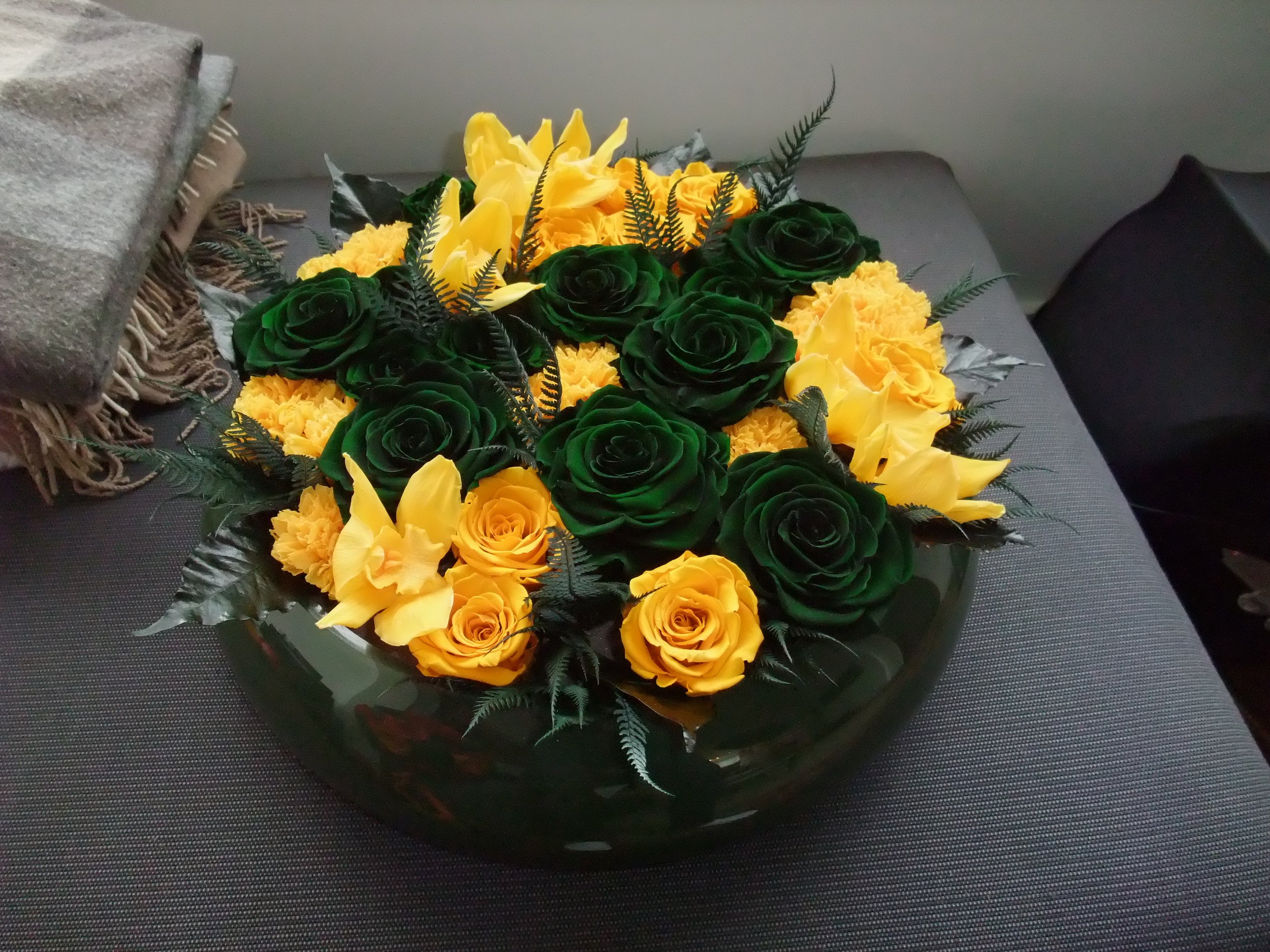 donaldo i phone may 30th 2014 1166.jpeg