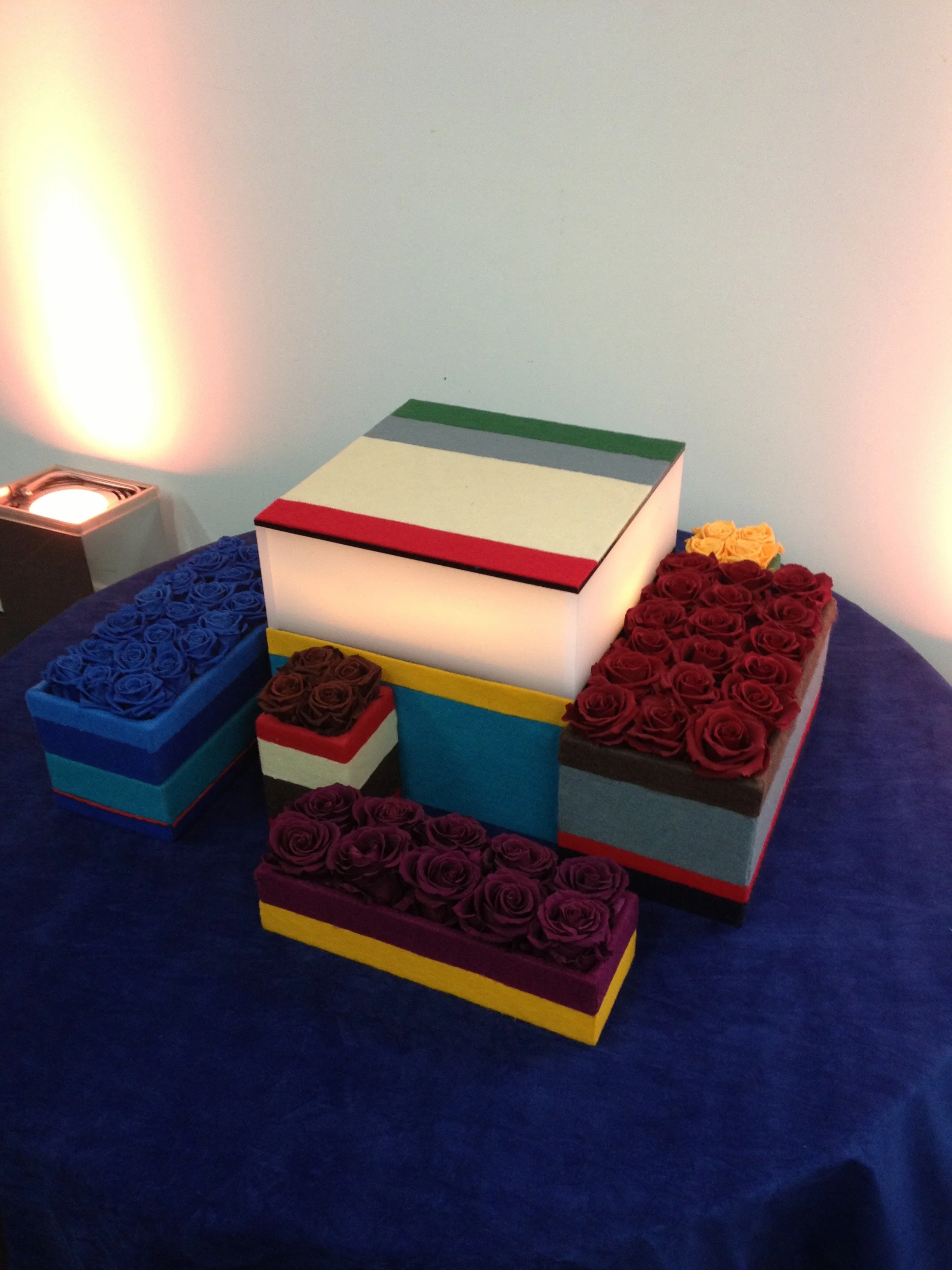 donaldo i phone may 30th 2014 3363.jpeg