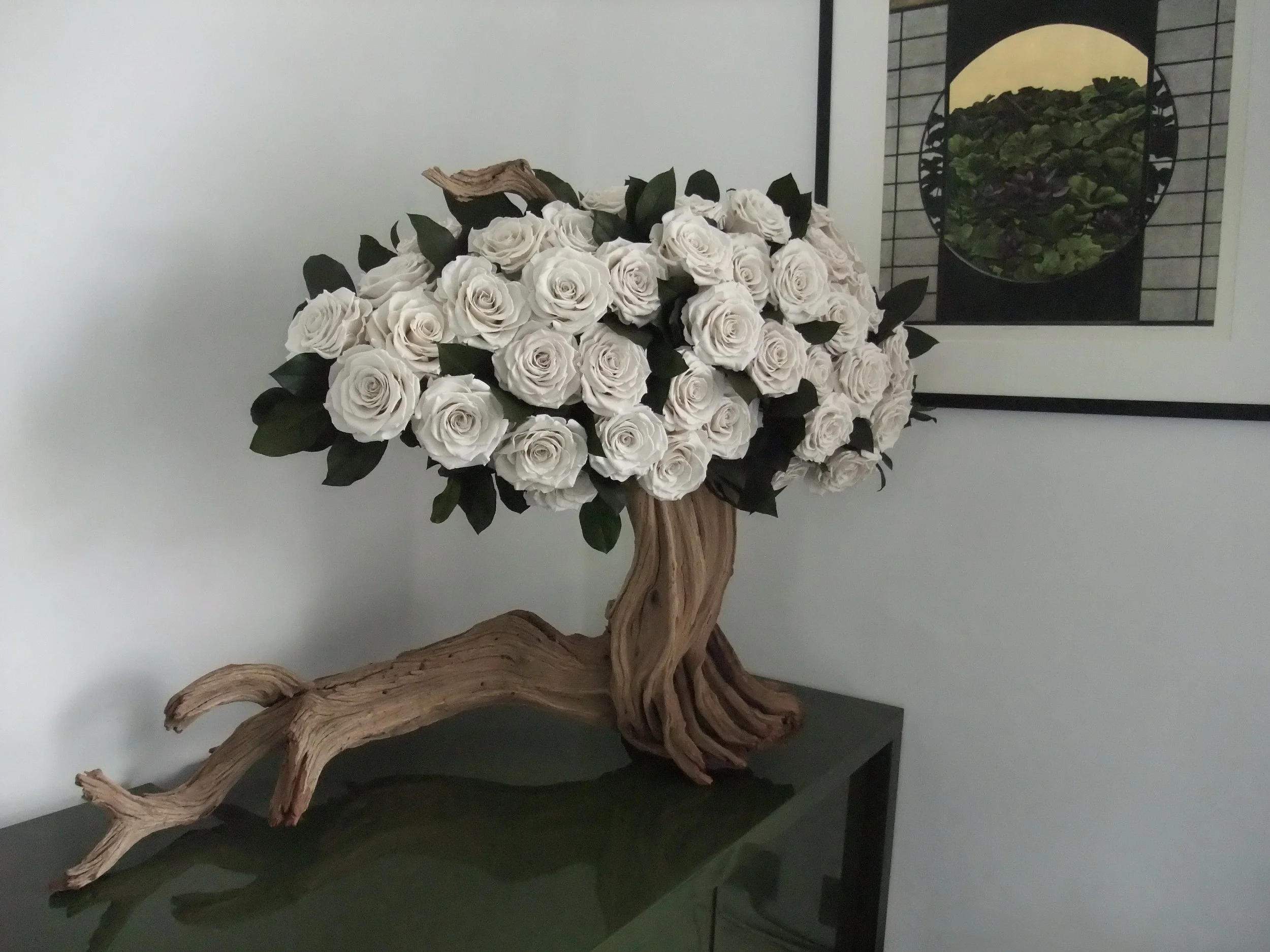 donaldo i phone may 30th 2014 1138.jpeg