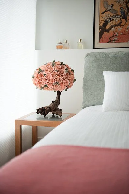 donaldo i phone may 30th 2014 534.jpeg