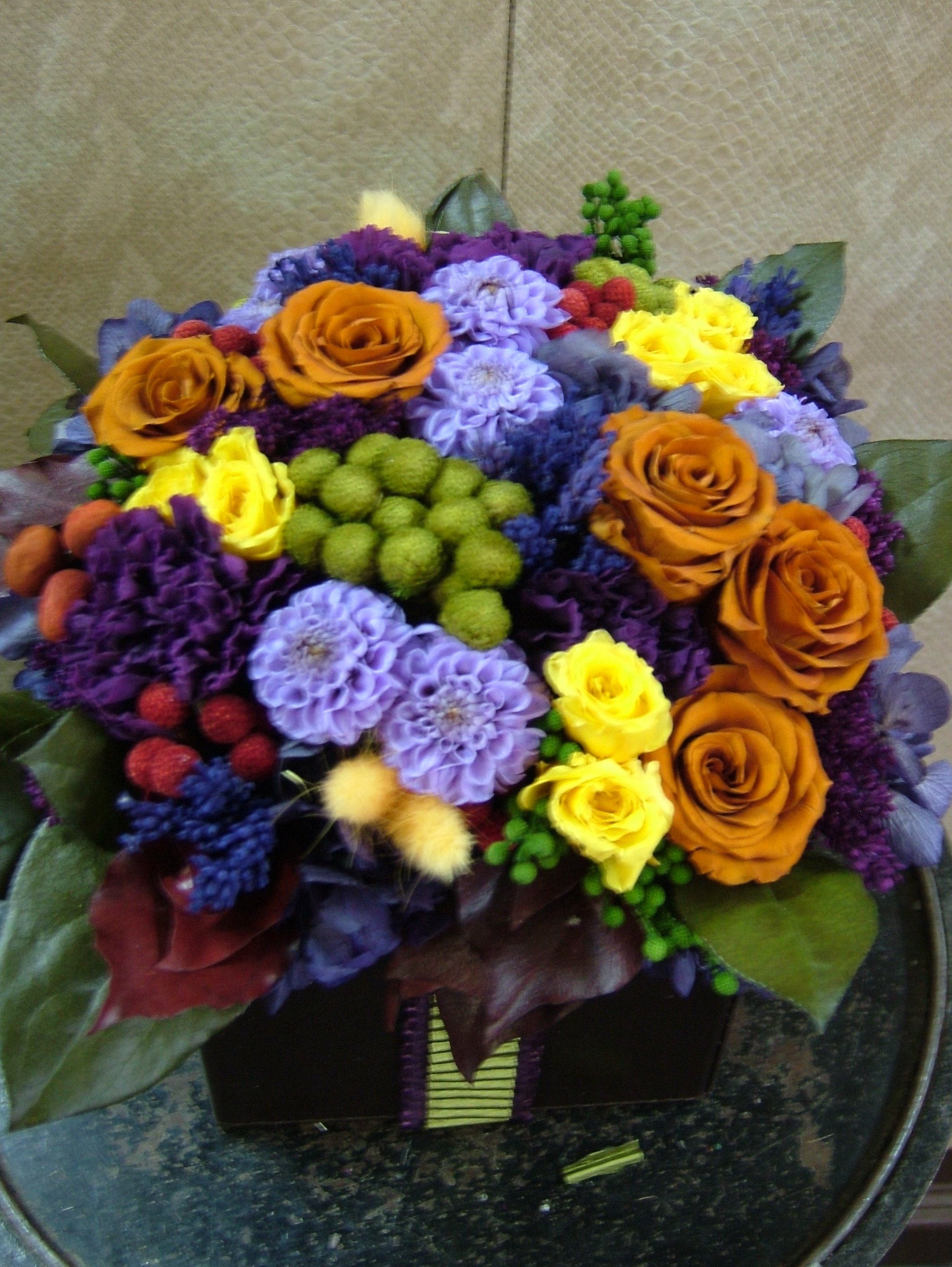 donaldo i phone may 30th 2014 1268.jpeg