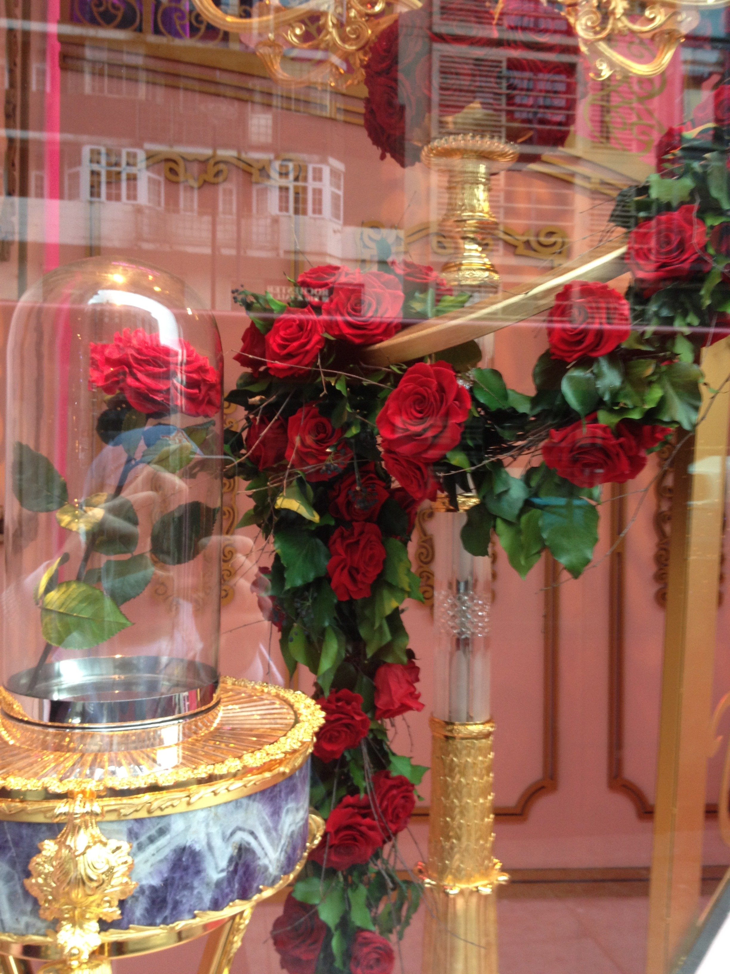 donaldo i phone may 30th 2014 678.jpeg