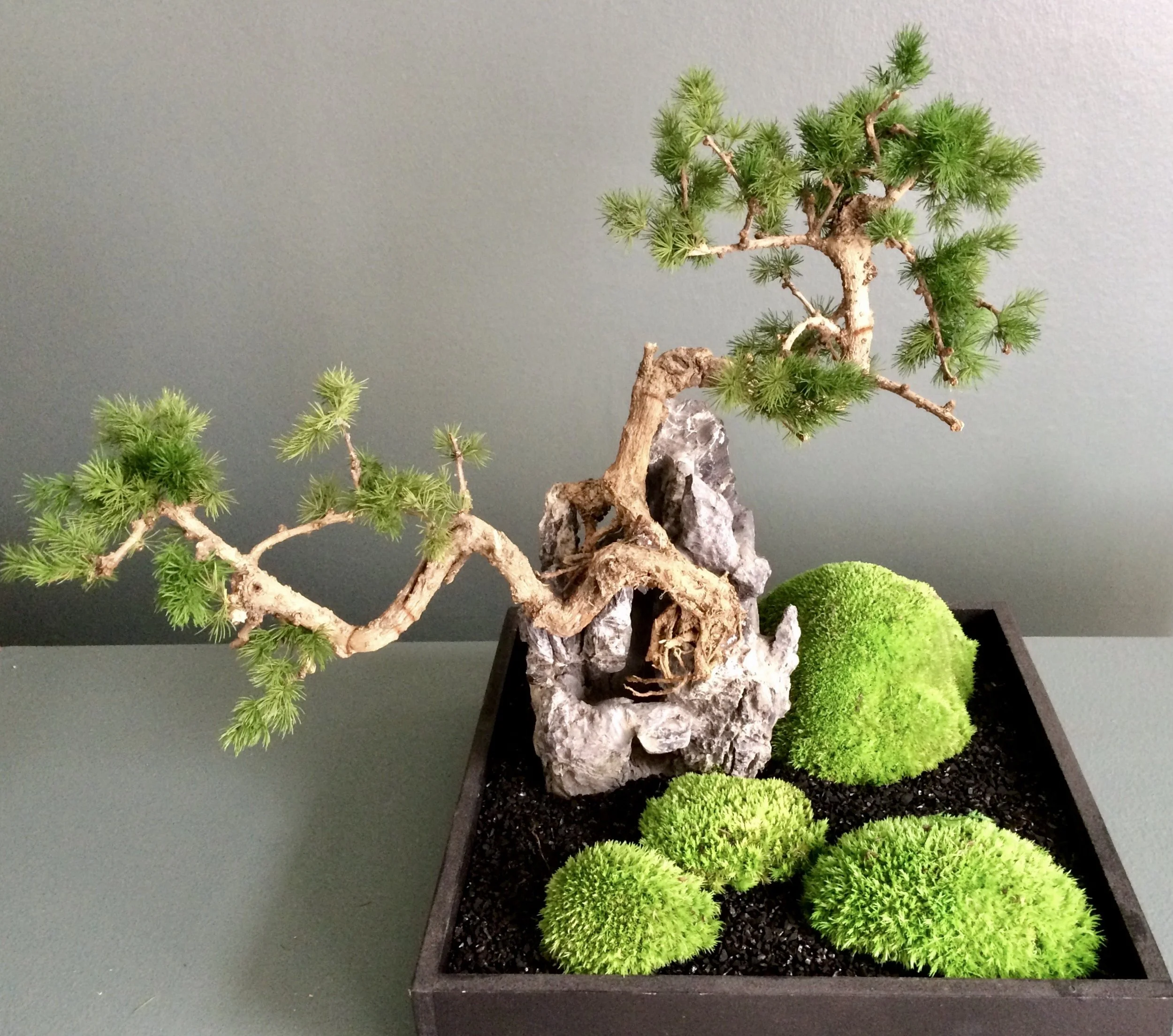 FullSizeRender 19.jpeg