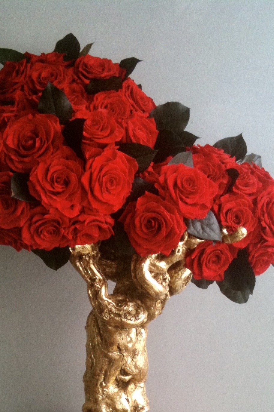 donaldo i phone may 30th 2014 780.jpeg