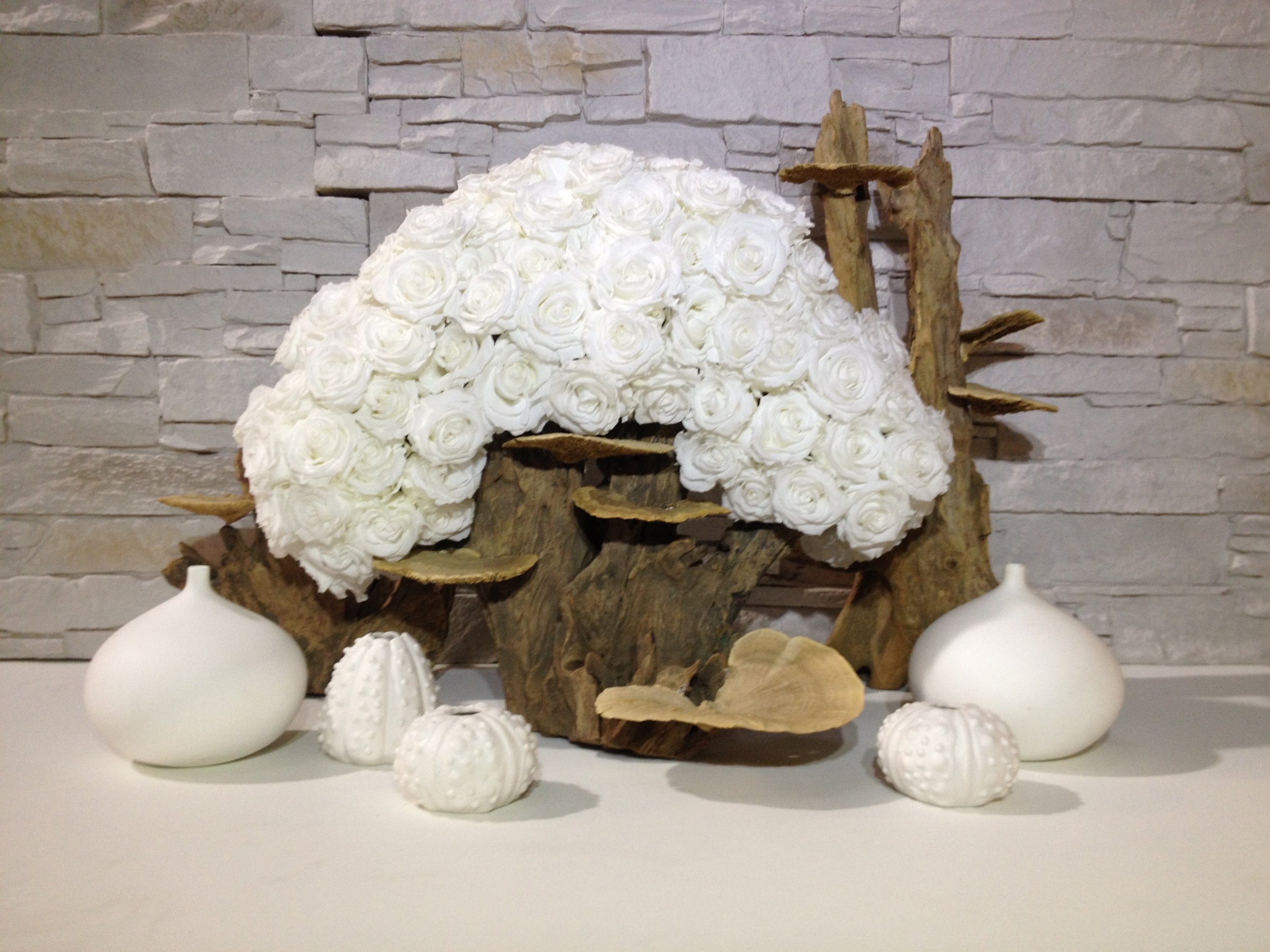 donaldo i phone may 30th 2014 3727.jpeg