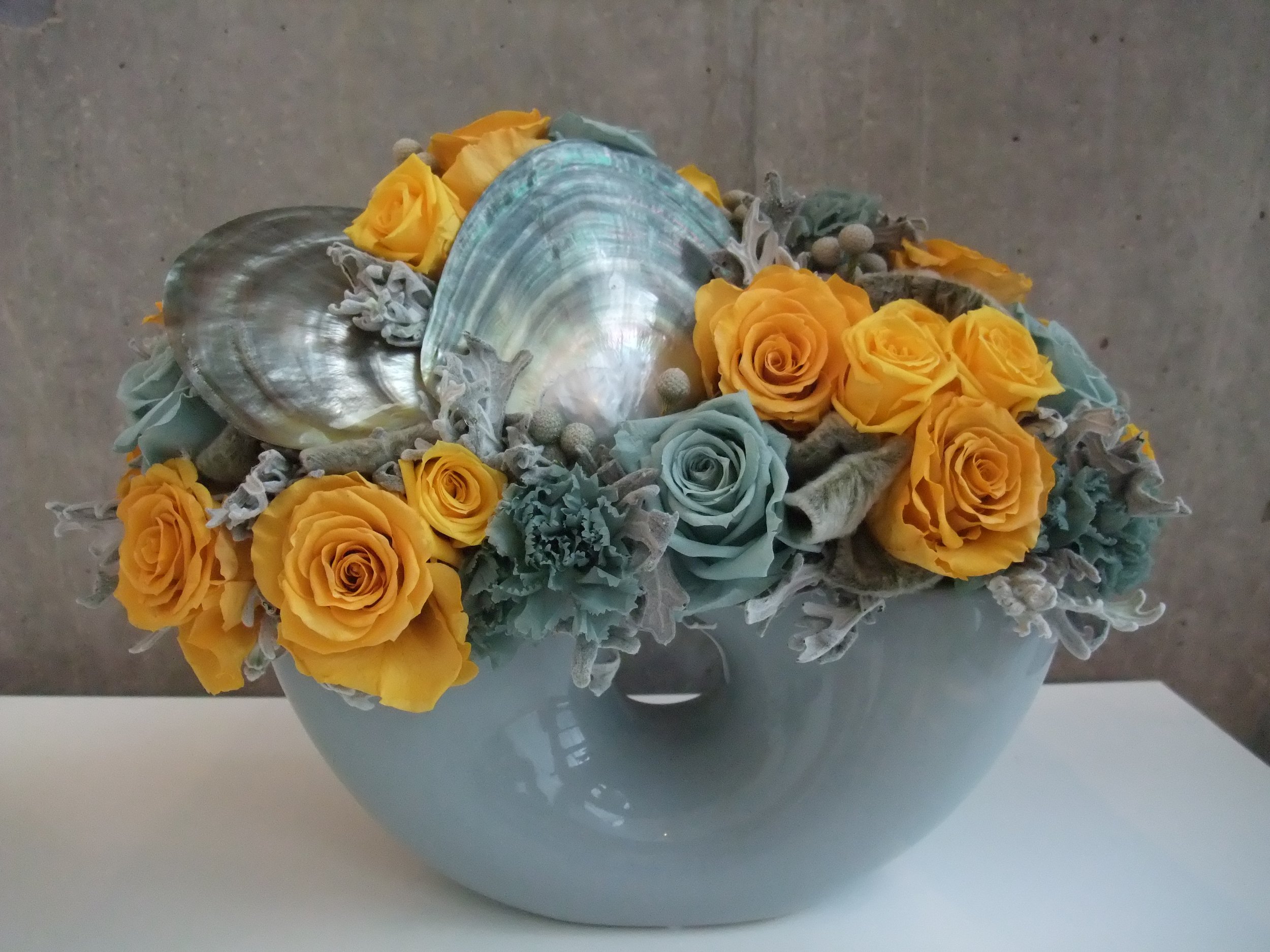 donaldo i phone may 30th 2014 1270.jpeg