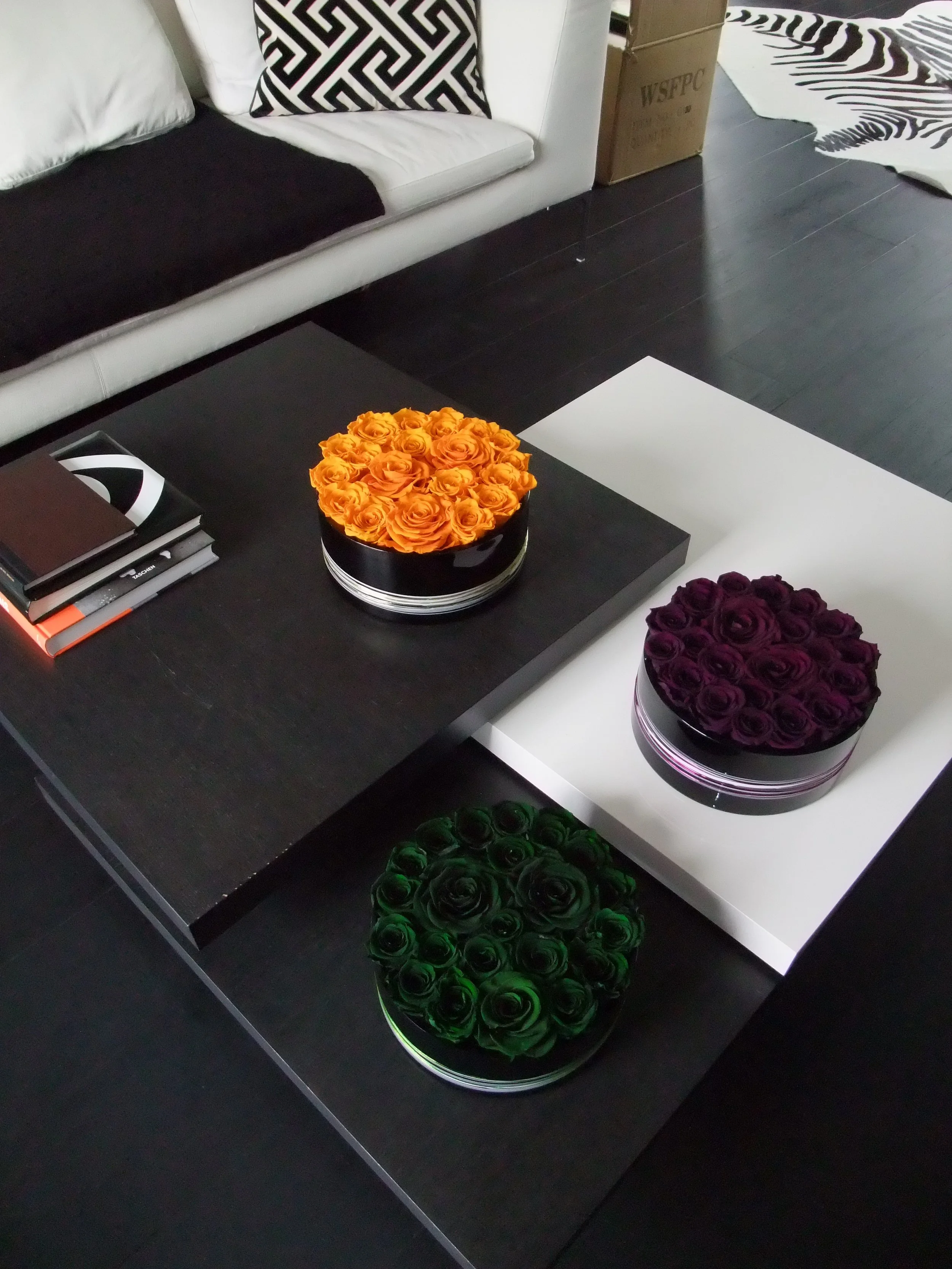 donaldo i phone may 30th 2014 1141.jpeg