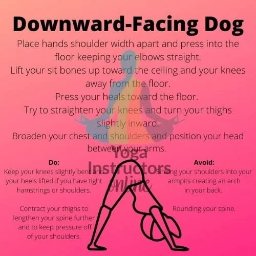 YOGAINFODDWATERMARK.jpg