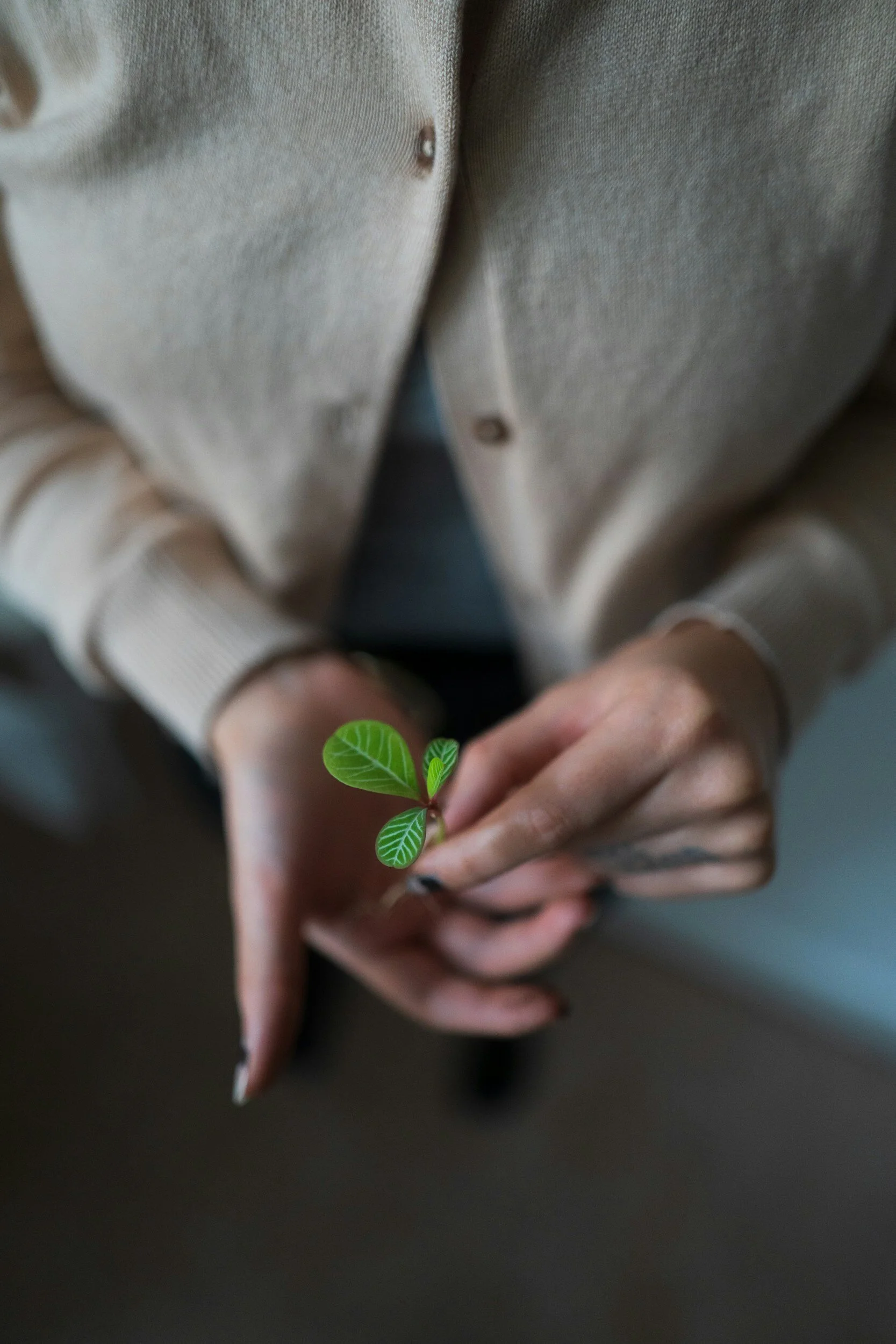 What Do You Do When Your Creativity Leaves You?