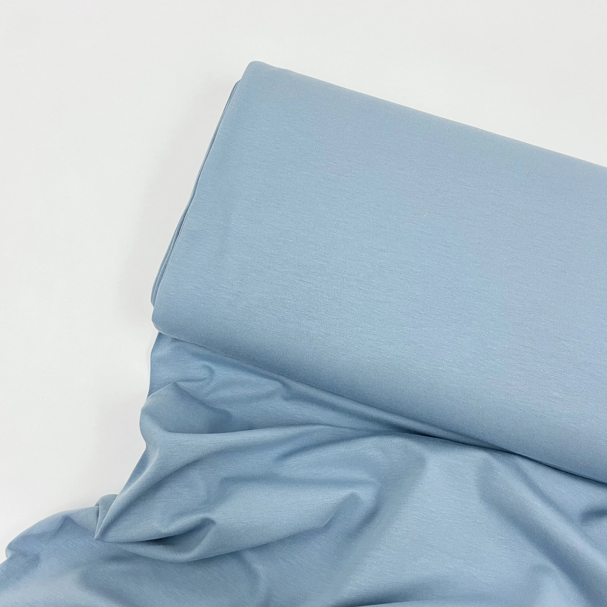 Hey Sew Sister - GOTS Certified Organic Cotton Jersey Fabric - Frozen 1.jpeg