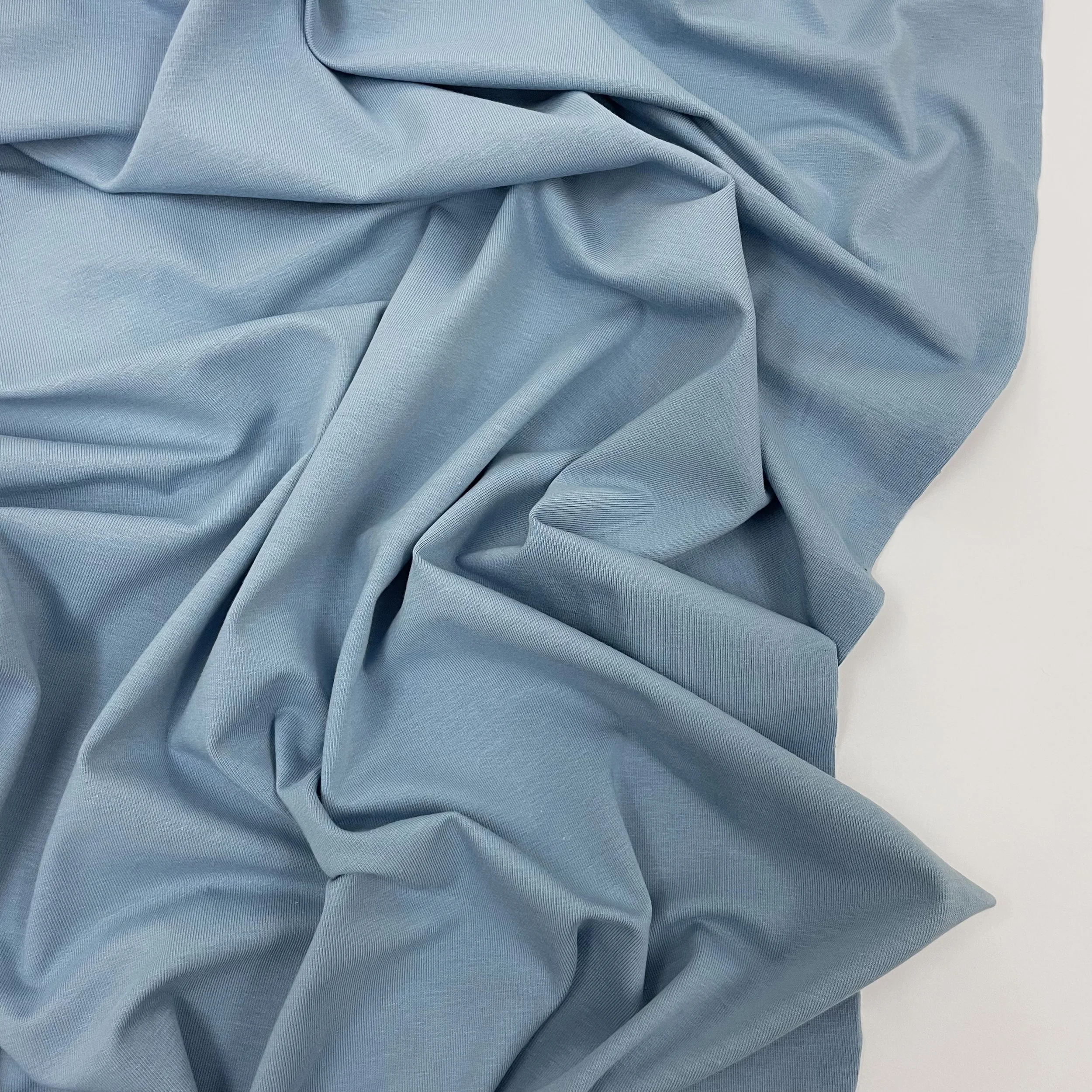 Hey Sew Sister - GOTS Certified Organic Cotton Jersey Fabric - Frozen 2.jpeg