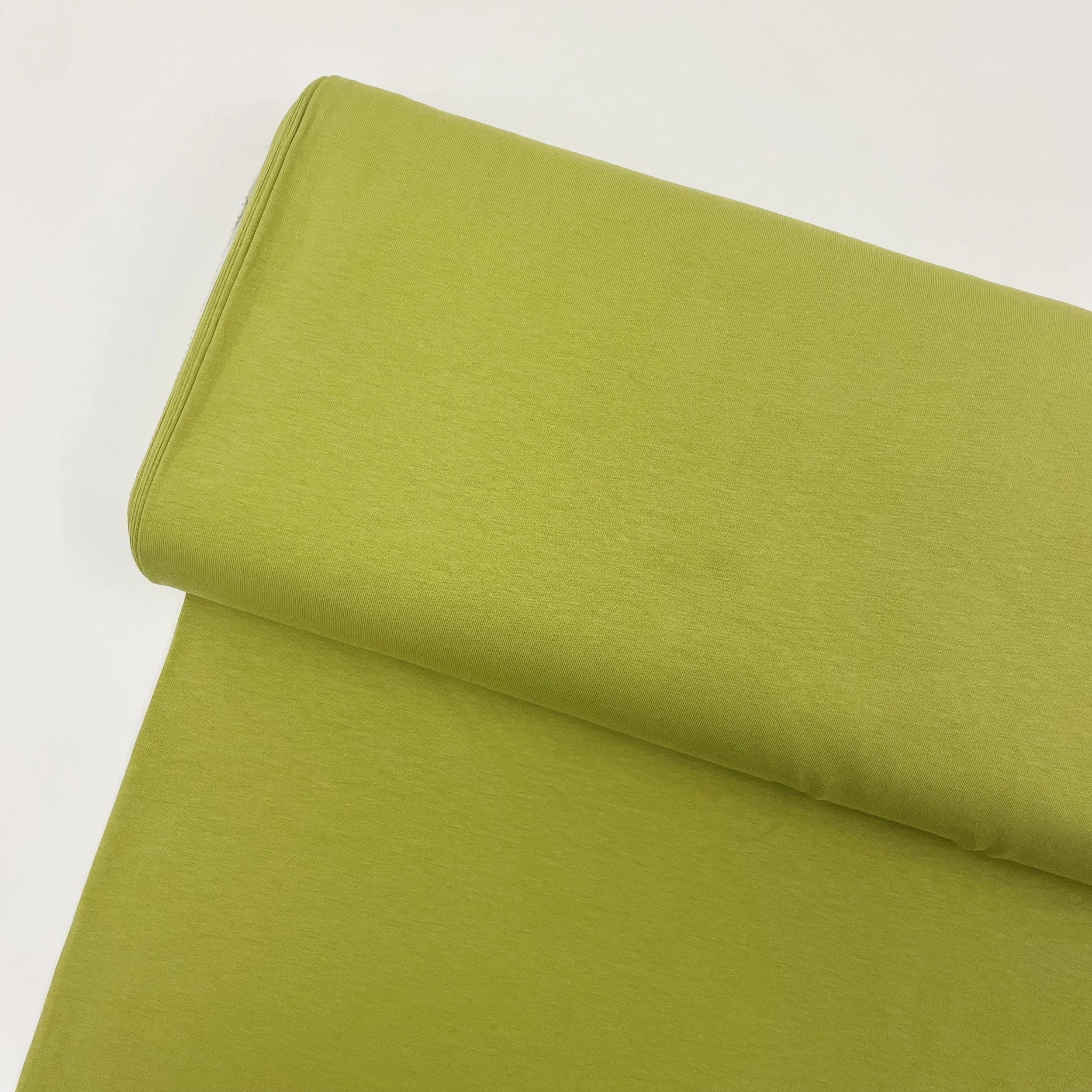 Hey Sew Sister - GOTS Certified Organic Cotton Jersey Fabric - Cactus 1.jpeg