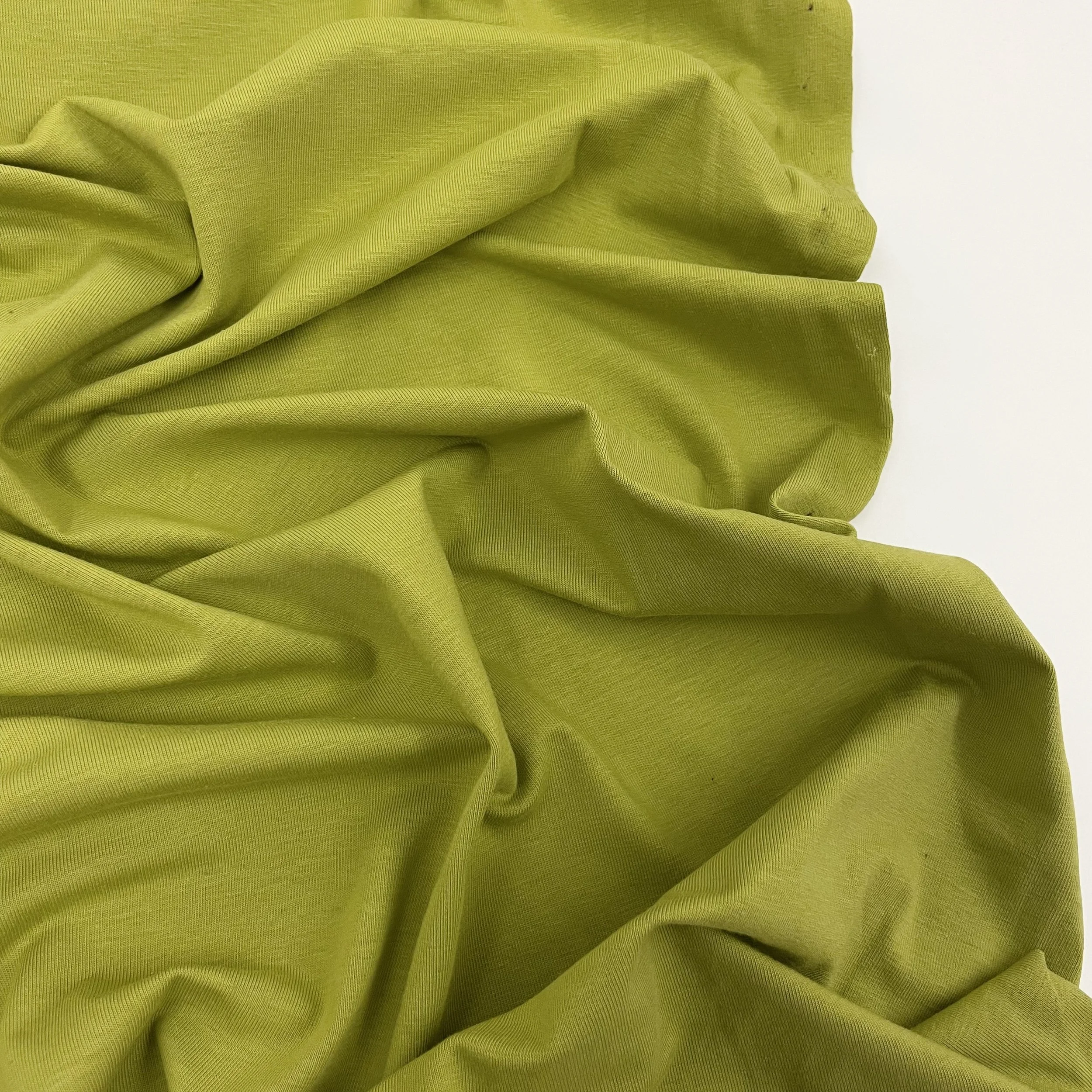 Hey Sew Sister - GOTS Certified Organic Cotton Jersey Fabric - Cactus 2.jpeg