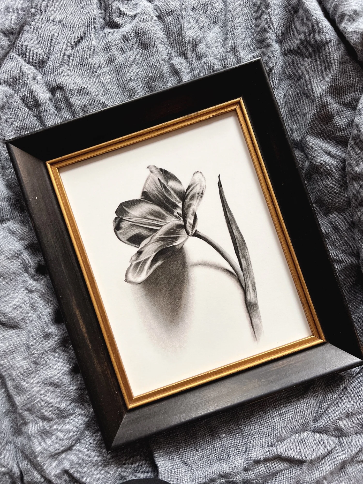 Single Stem Tulip in Charcoal — Kesia Finley Art