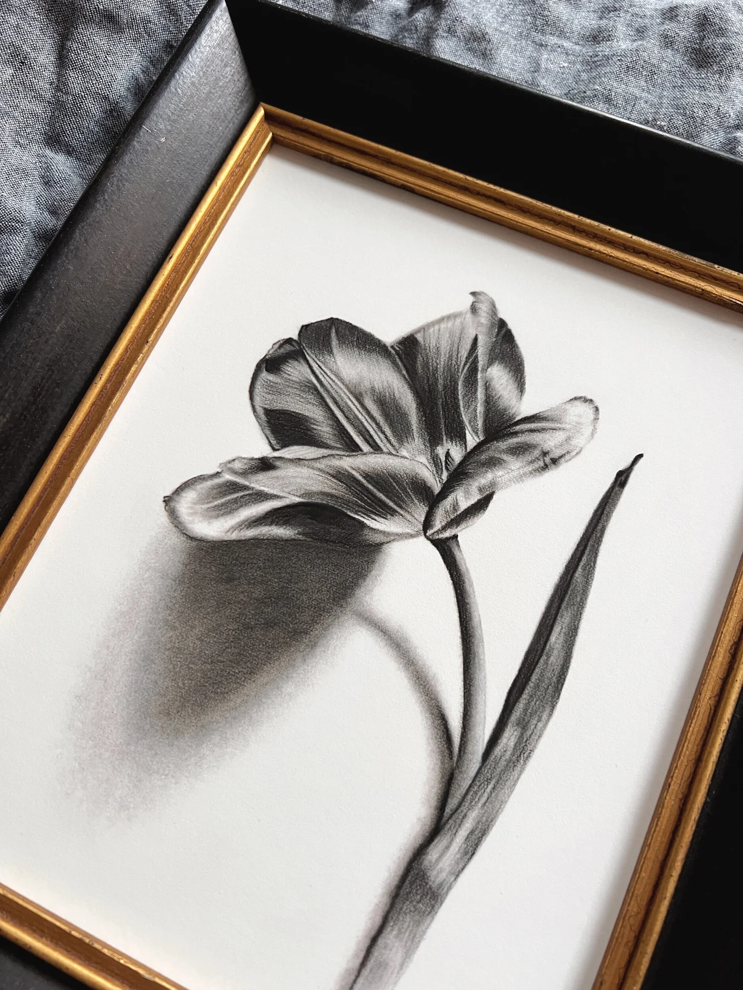 Single Stem Tulip in Charcoal — Kesia Finley Art