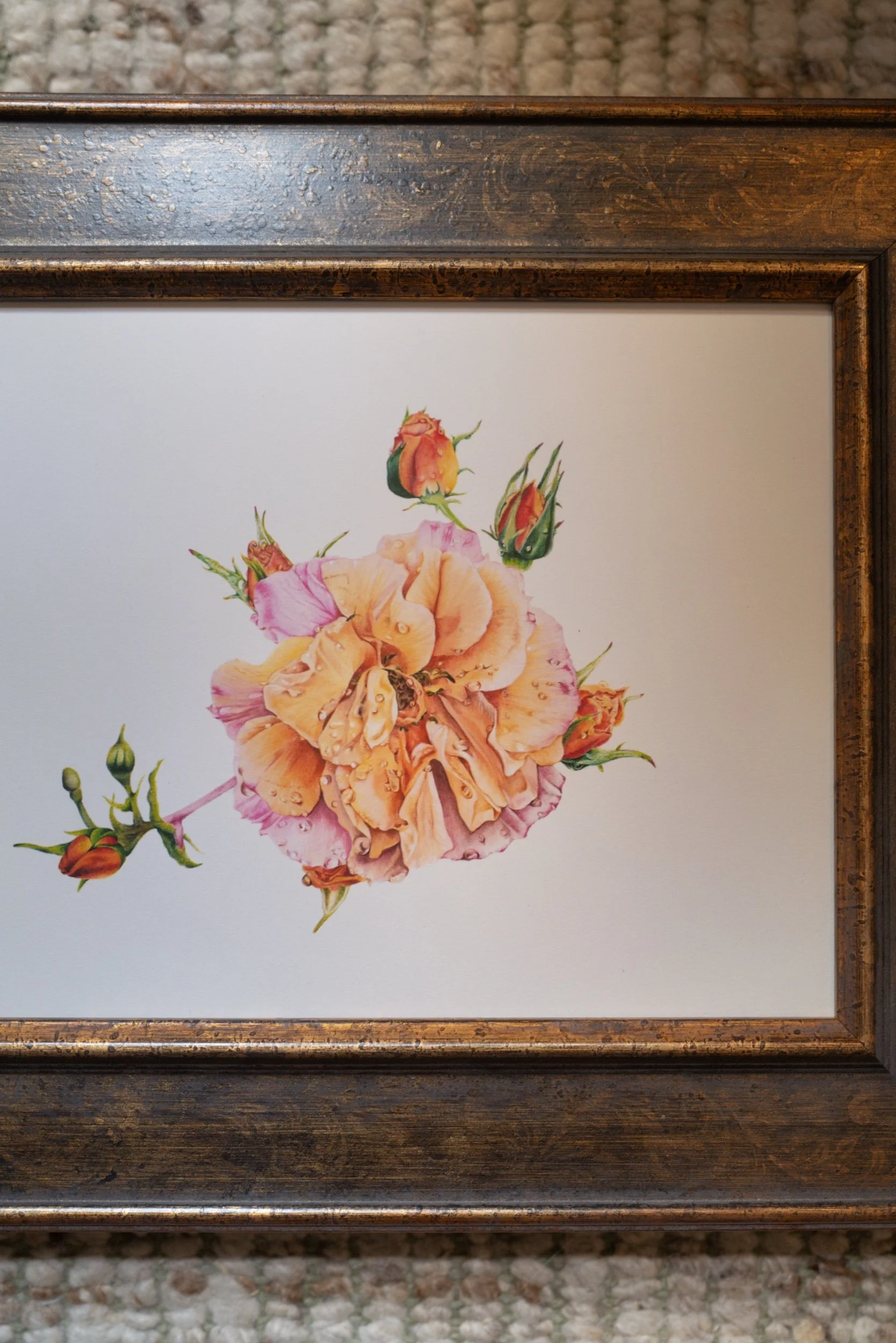 Parisian Rose