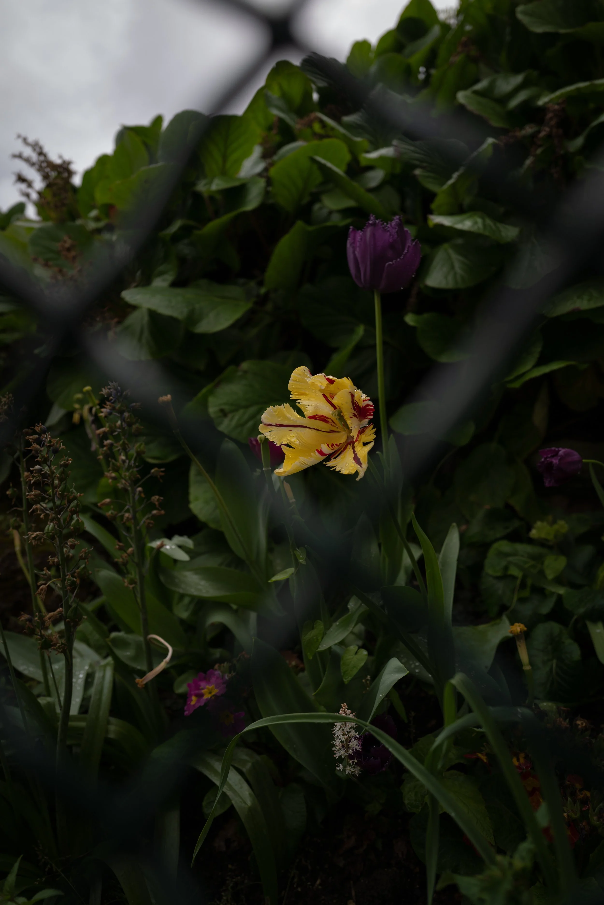 L1120970.jpg