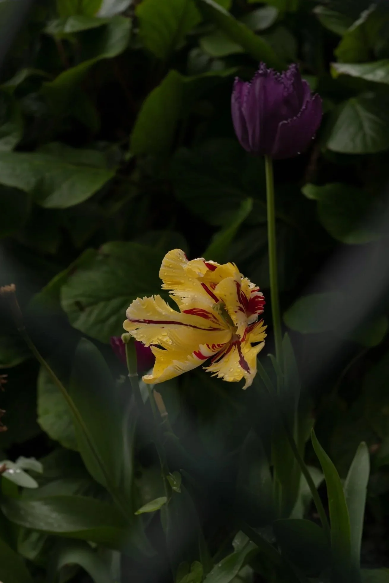L1120970.jpg