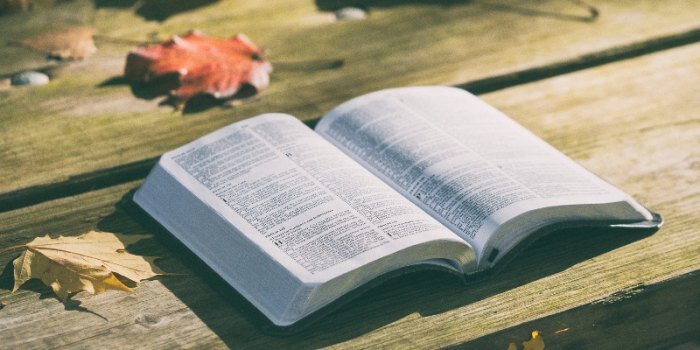Portal Into Sacred Text