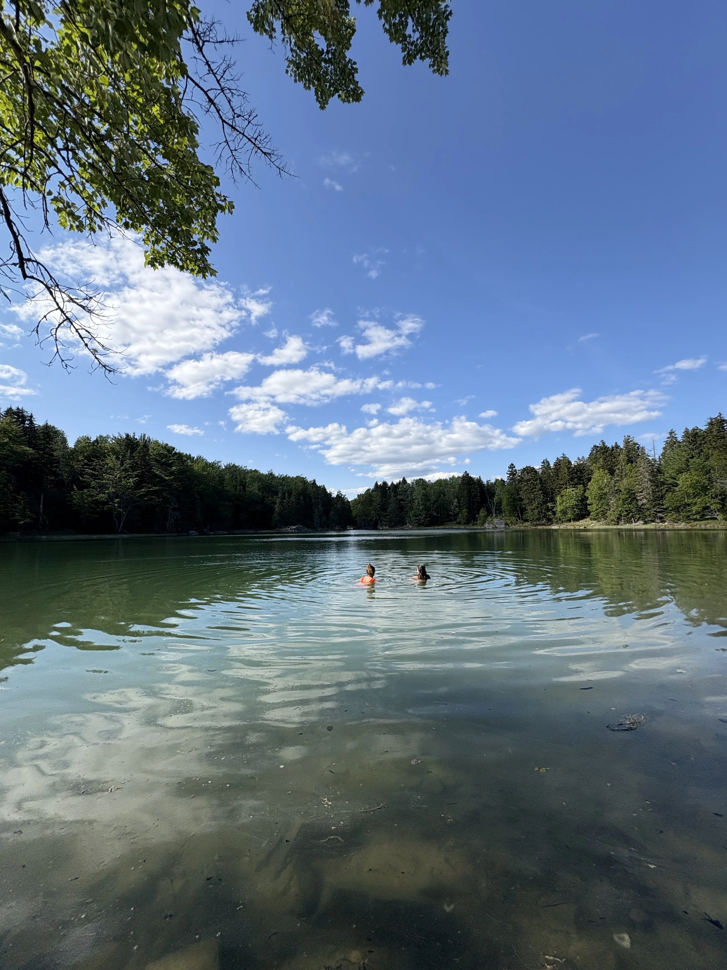 cove swim.jpg