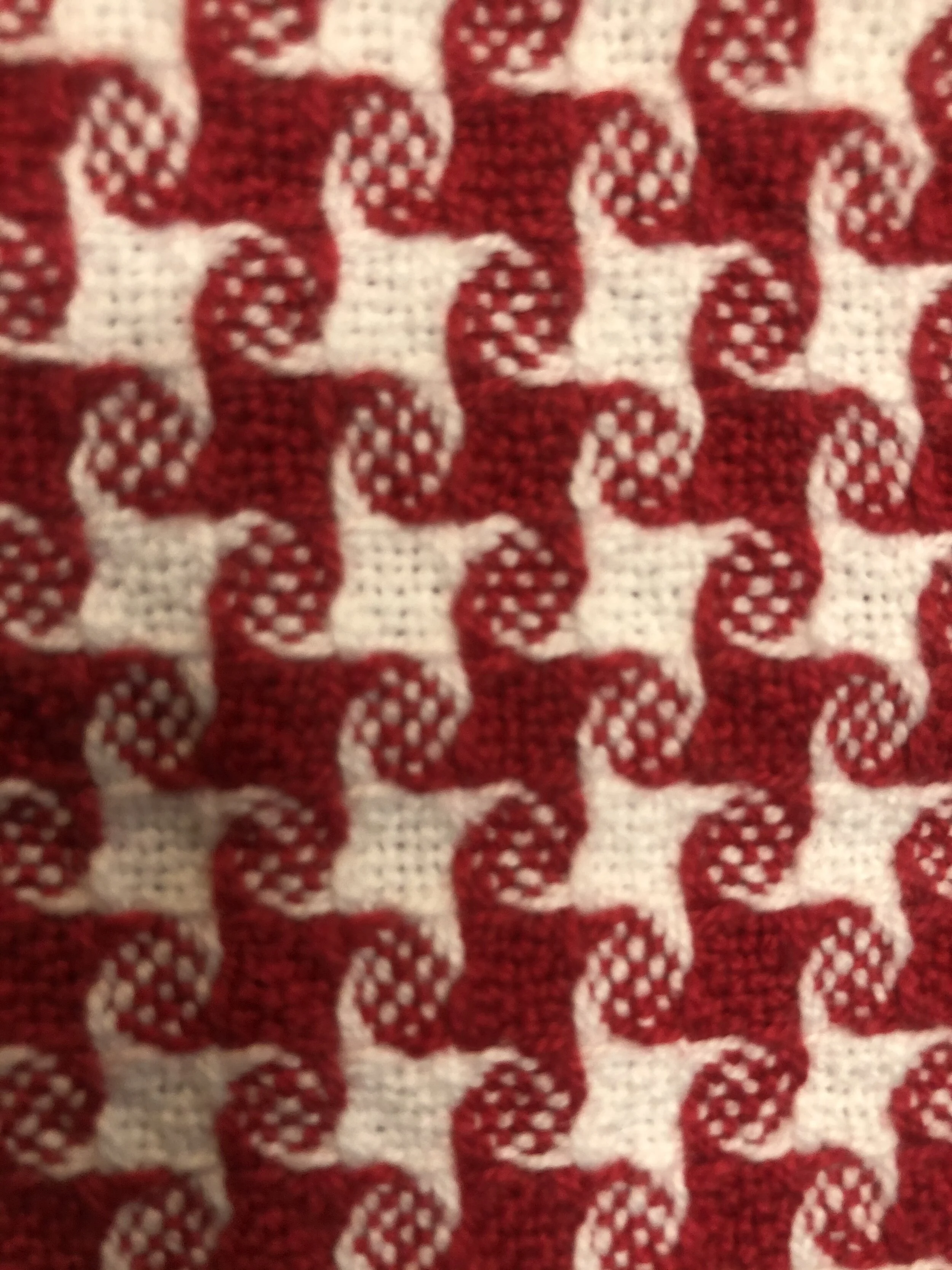 Photo Nov 19, 11 03 38 AM.jpg